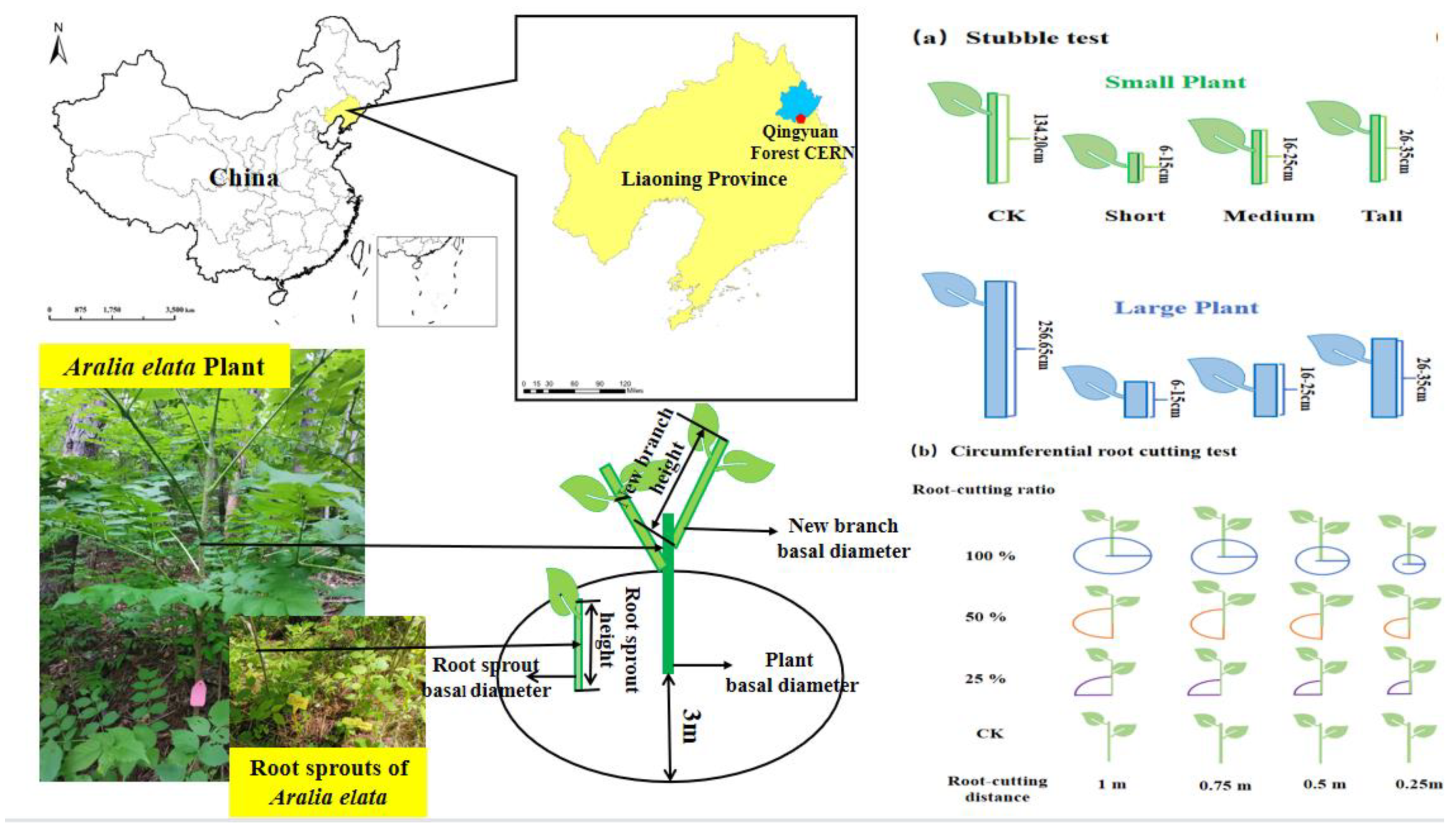 Forests 13 00612 g002