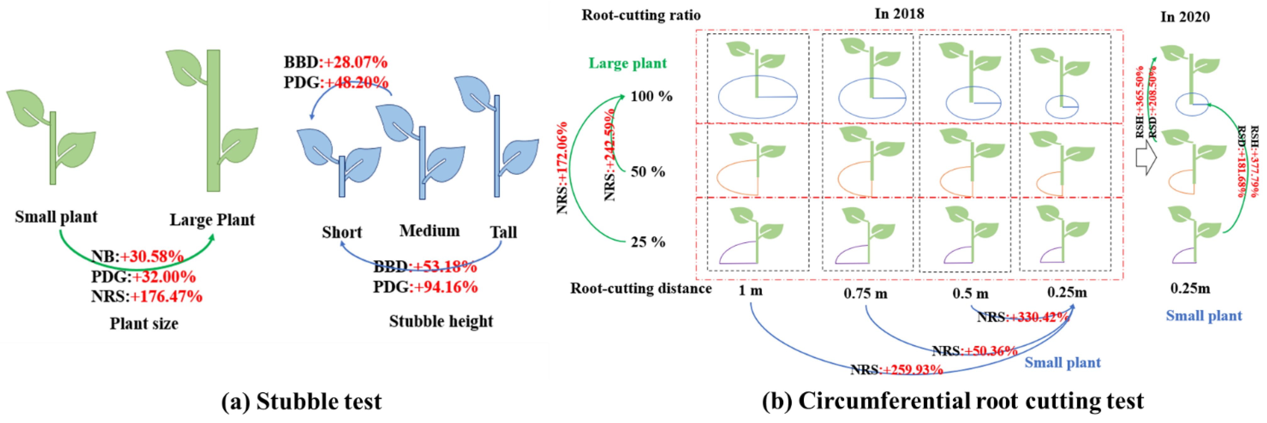 Forests 13 00612 g005