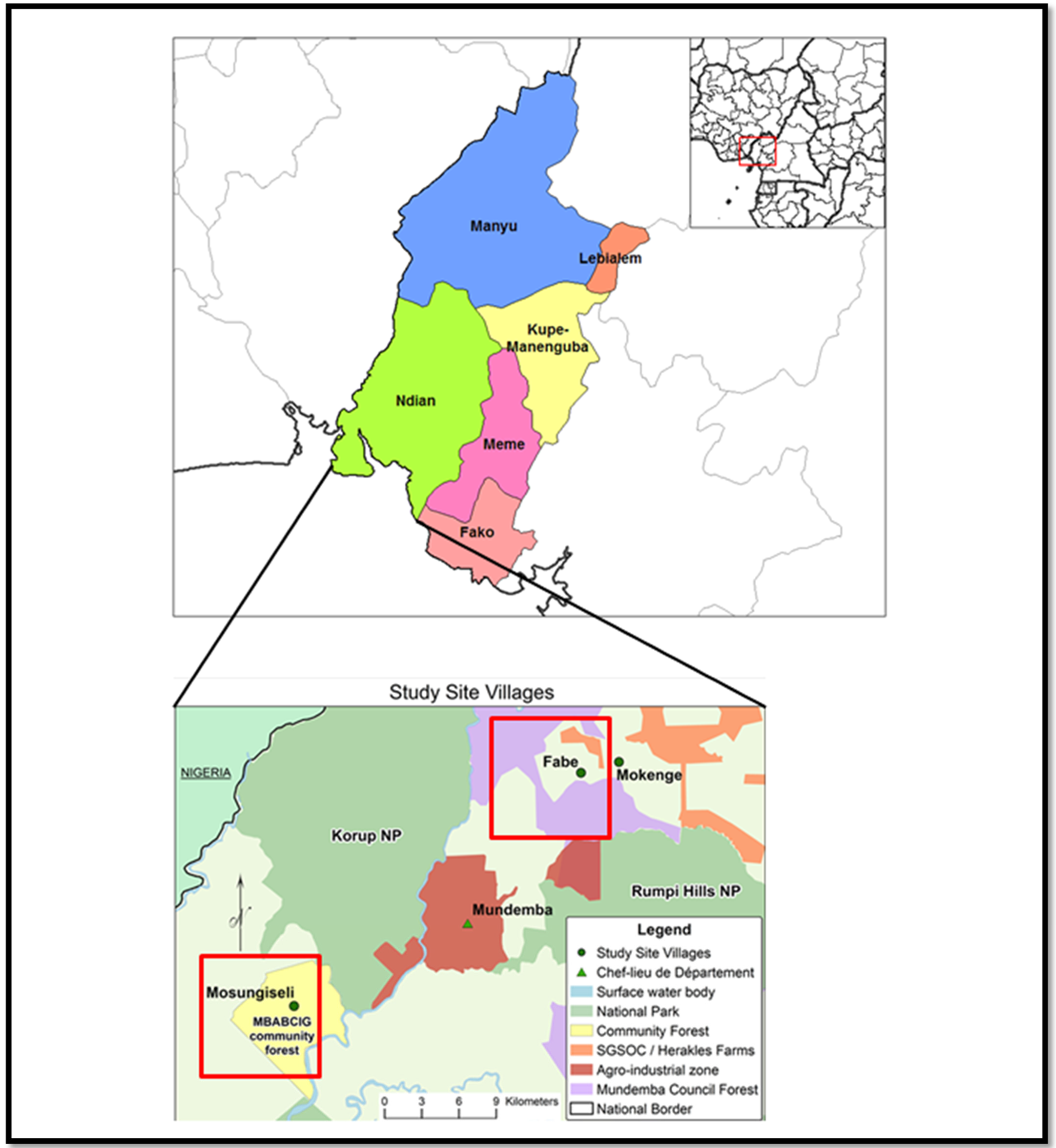 Forests 13 00617 g002 Forests 13 00617 g002