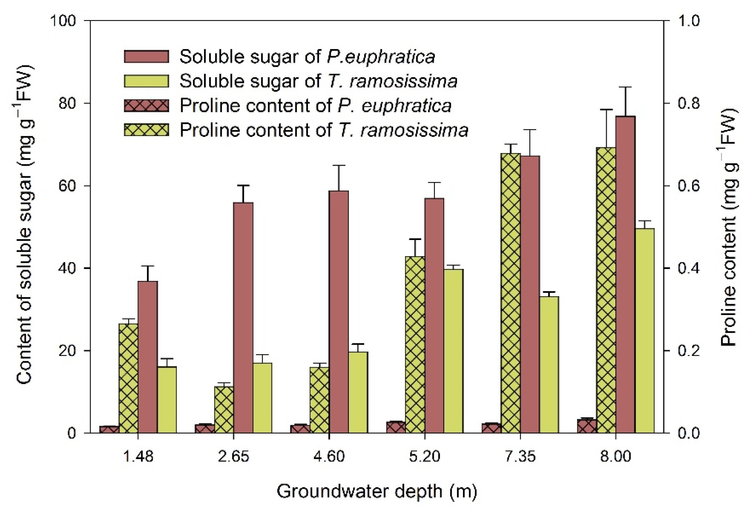 Forests 13 00619 g001 Forests 13 00619 g001