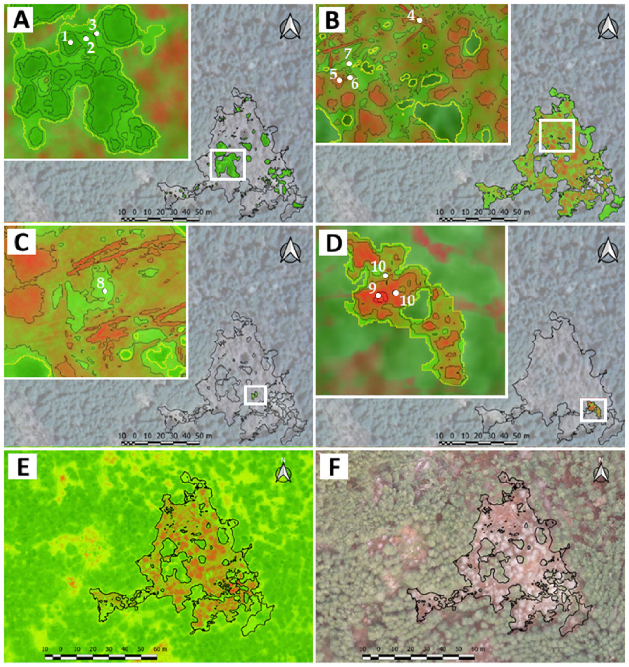 Forests 13 00620 g004