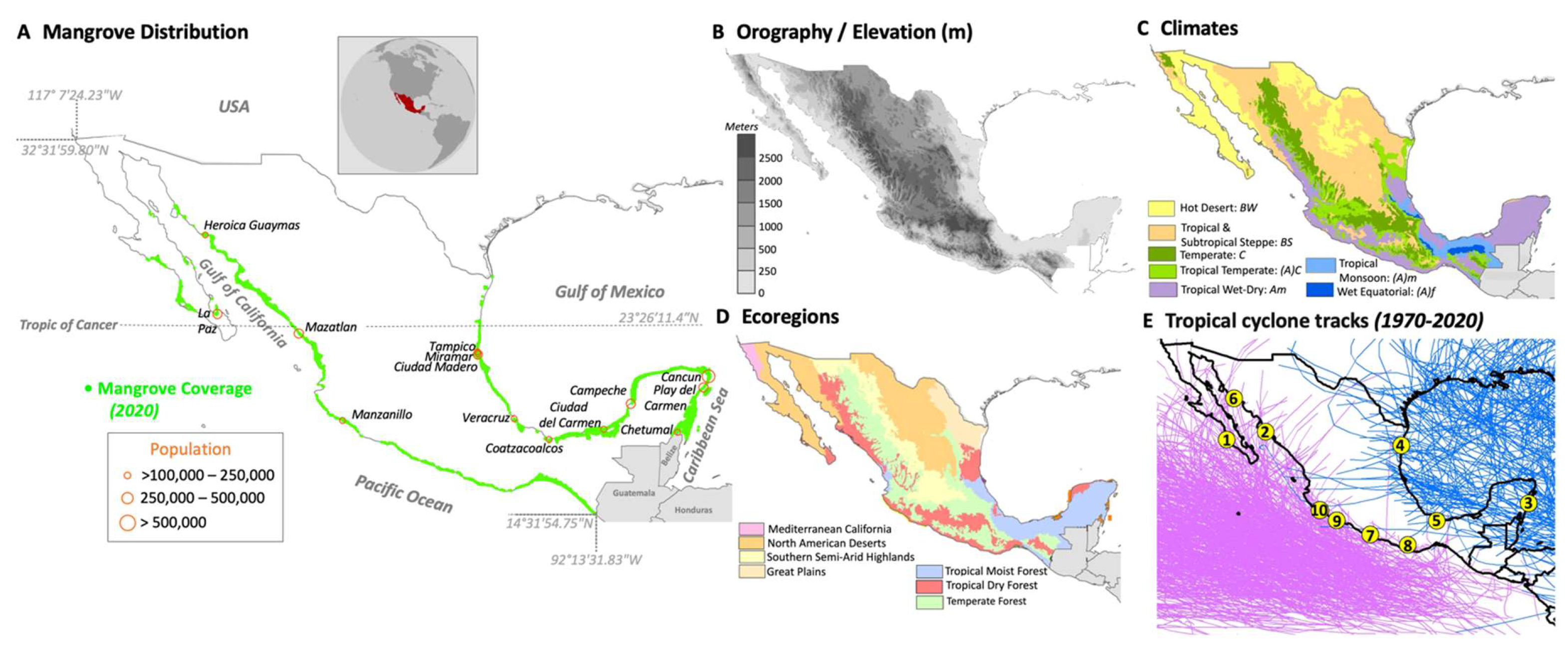 PDF) Mapping the spatial distribution of the invasive Mexican