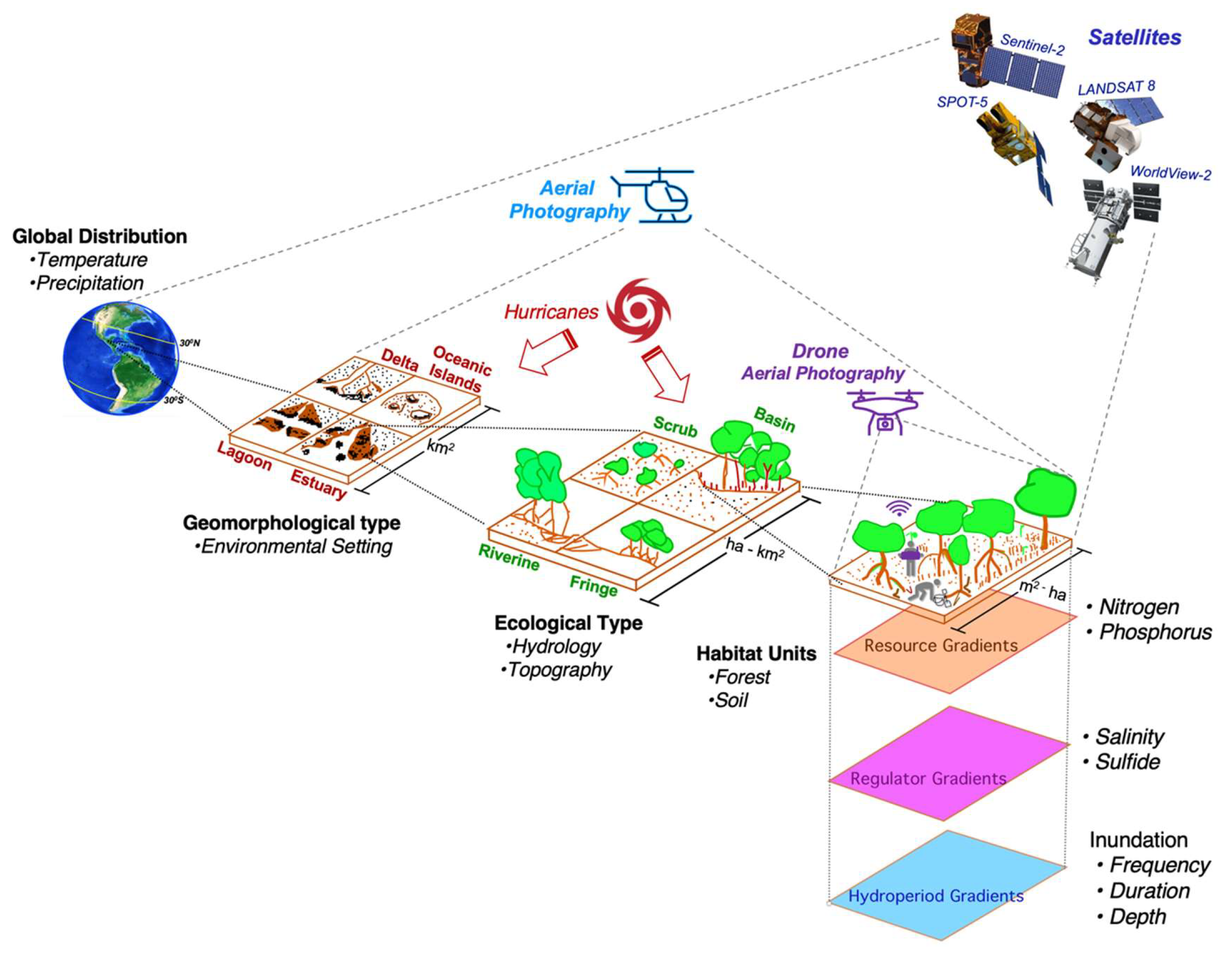 Forests 13 00621 g002