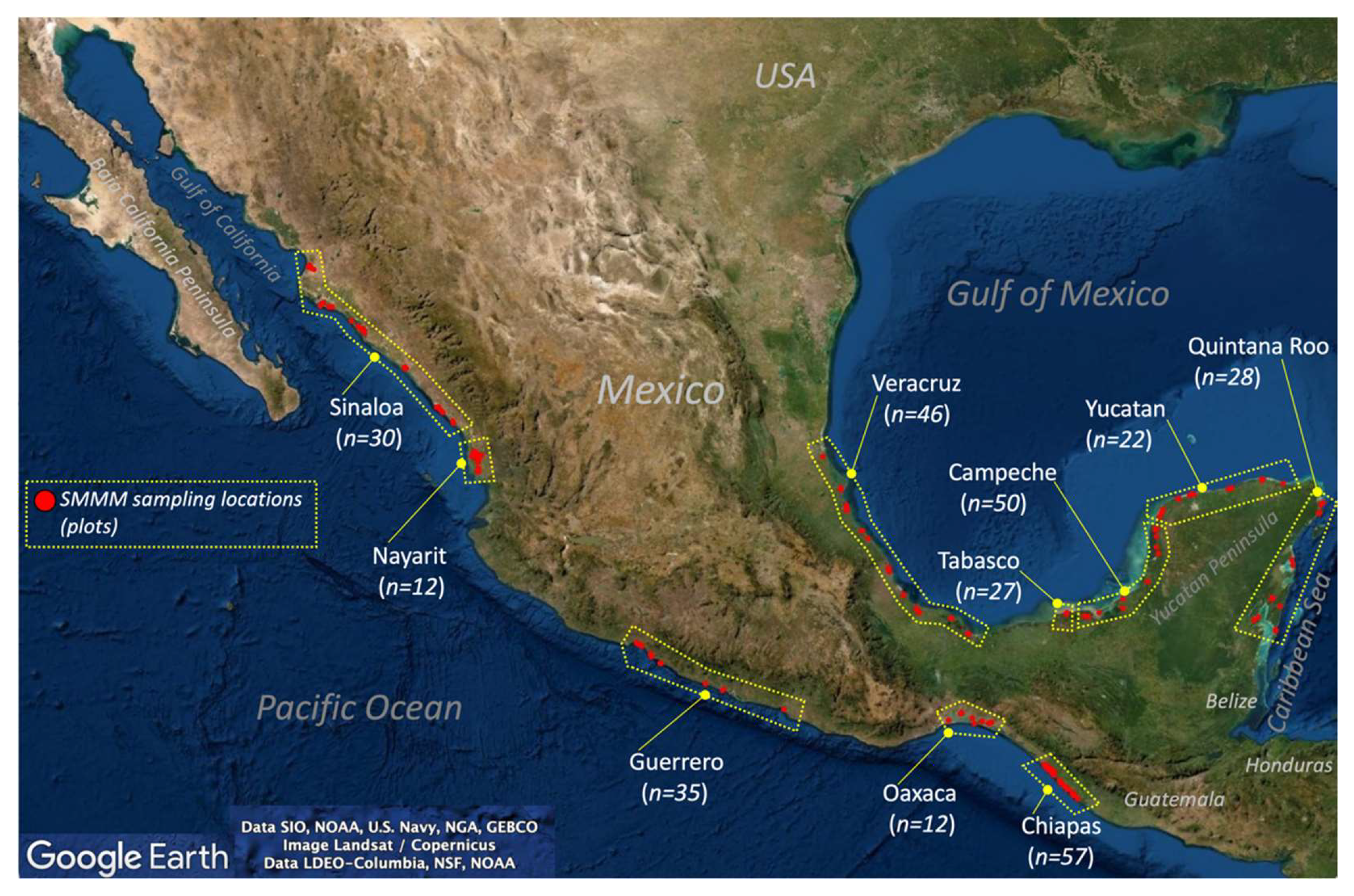 Forests 13 00621 g004
