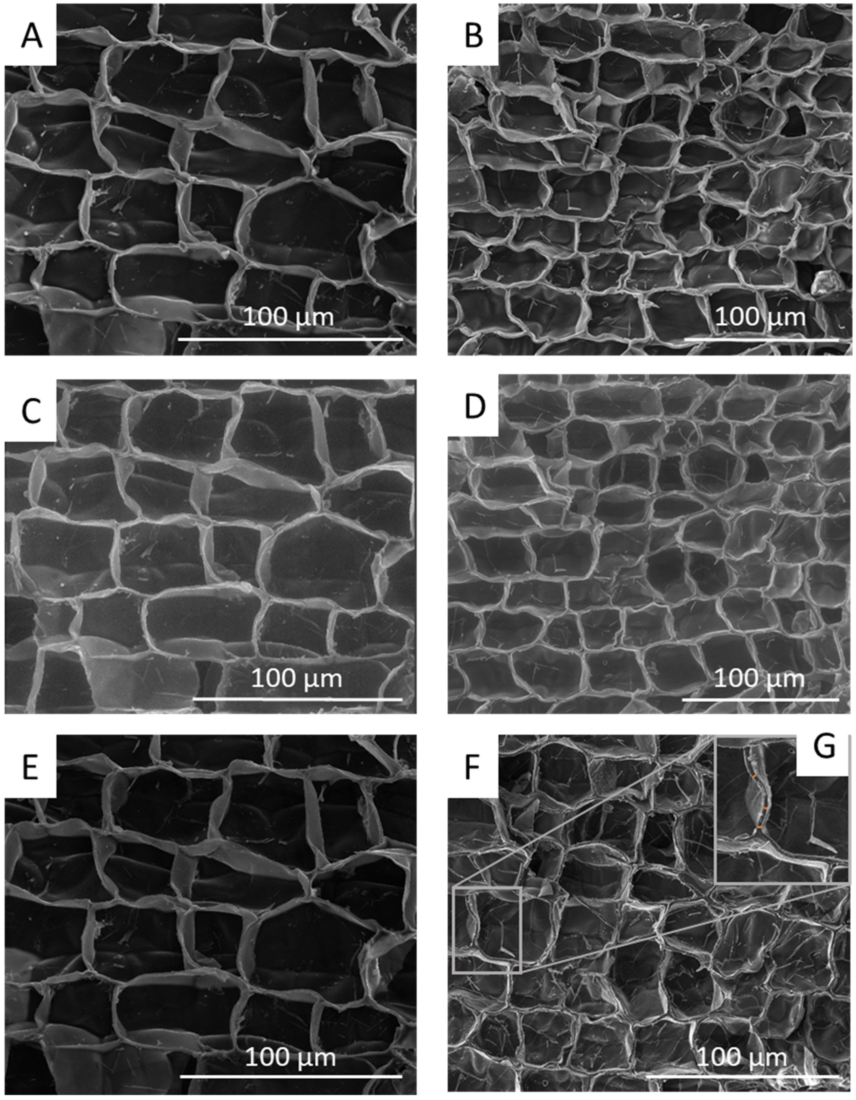 Forests 13 00623 g001 550