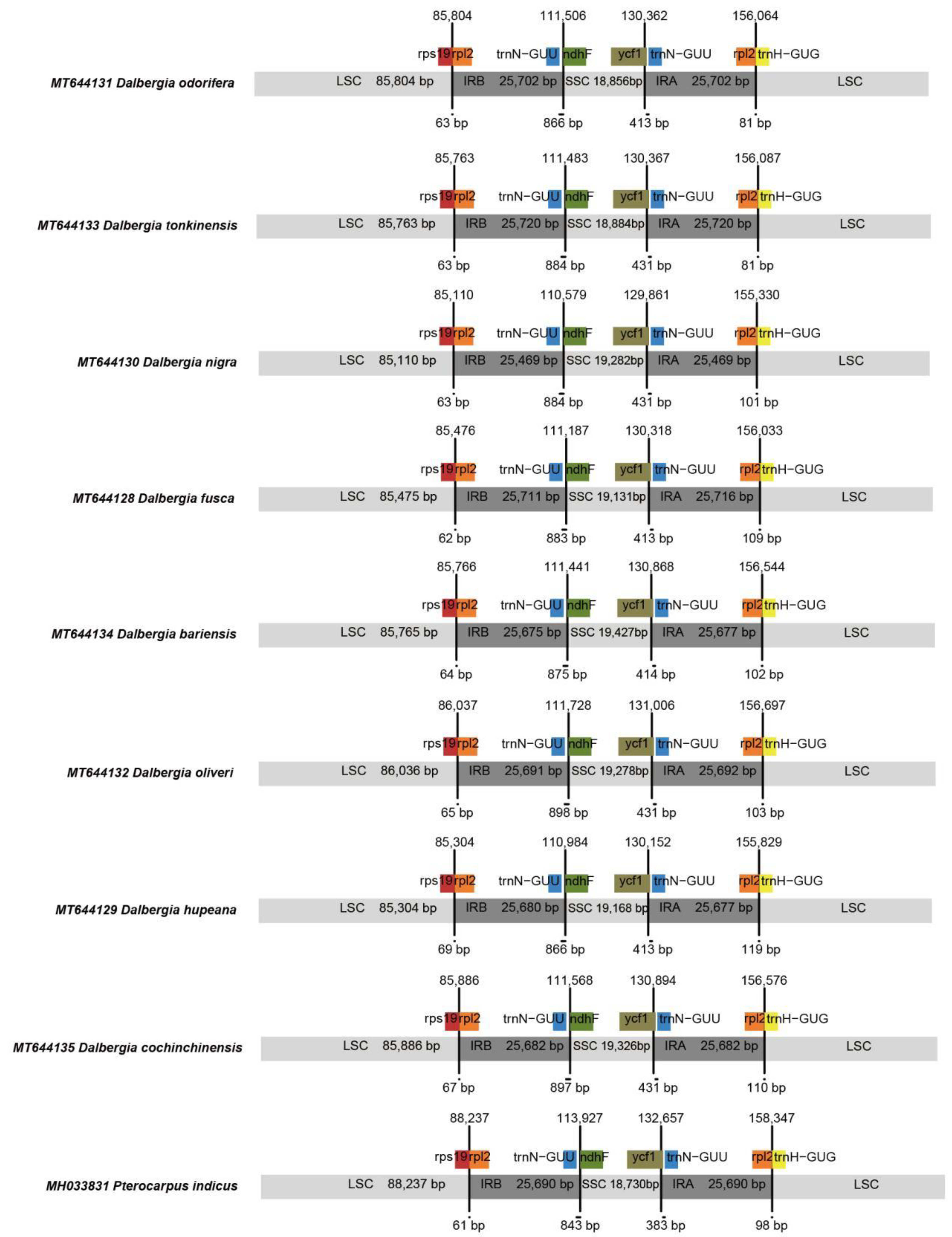 Forests 13 00626 g002
