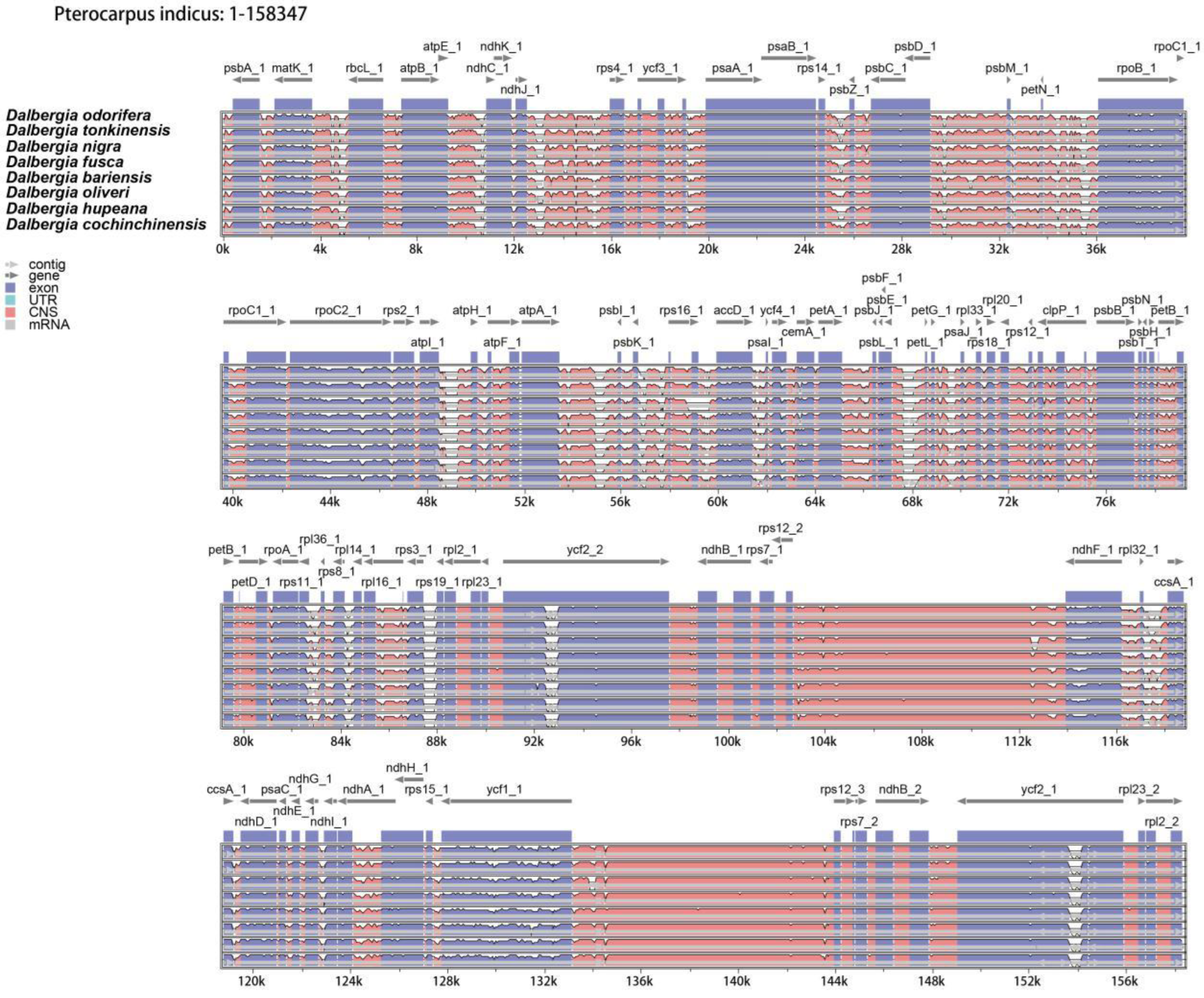 Forests 13 00626 g005