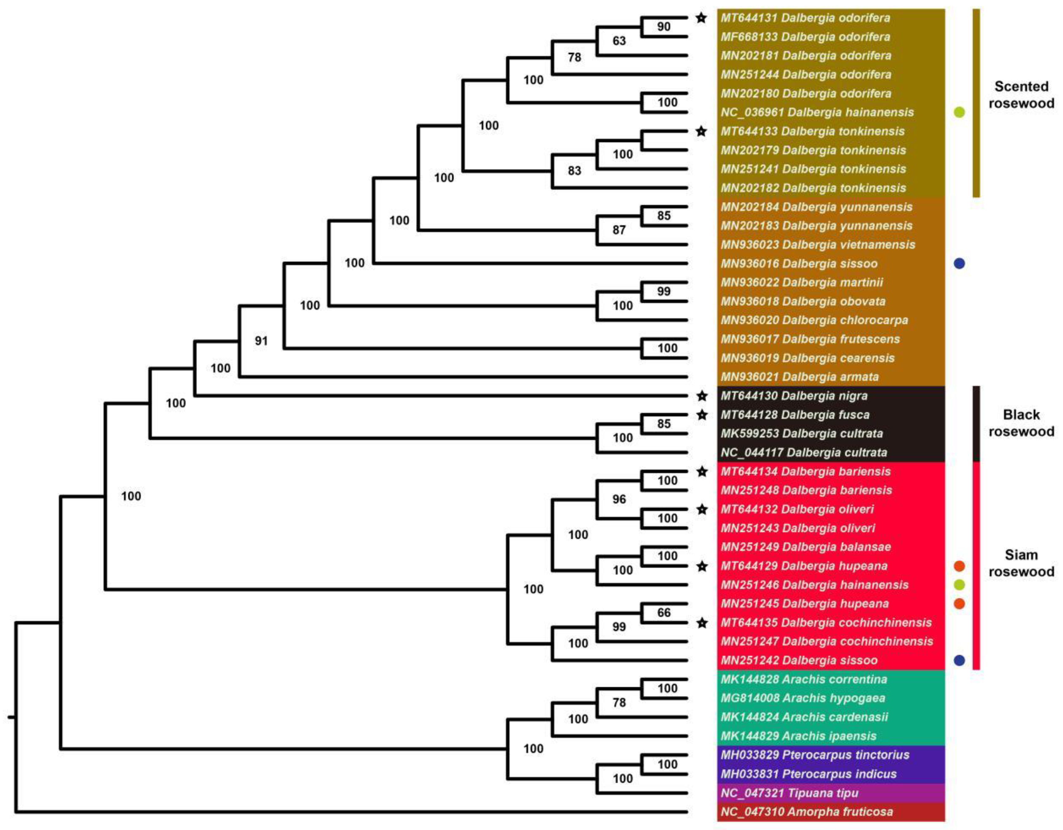 Forests 13 00626 g009