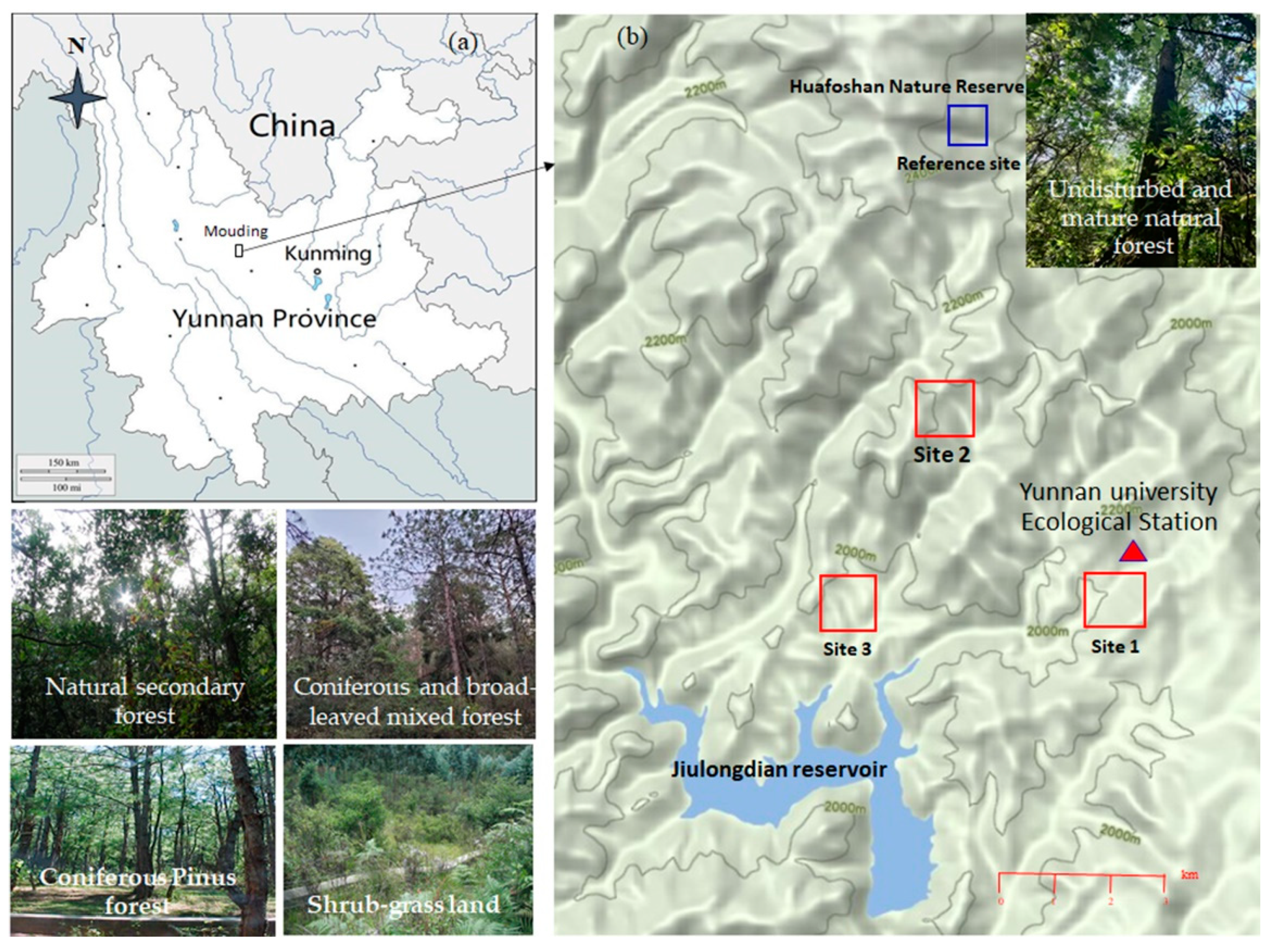 Forests 13 00629 g001 550