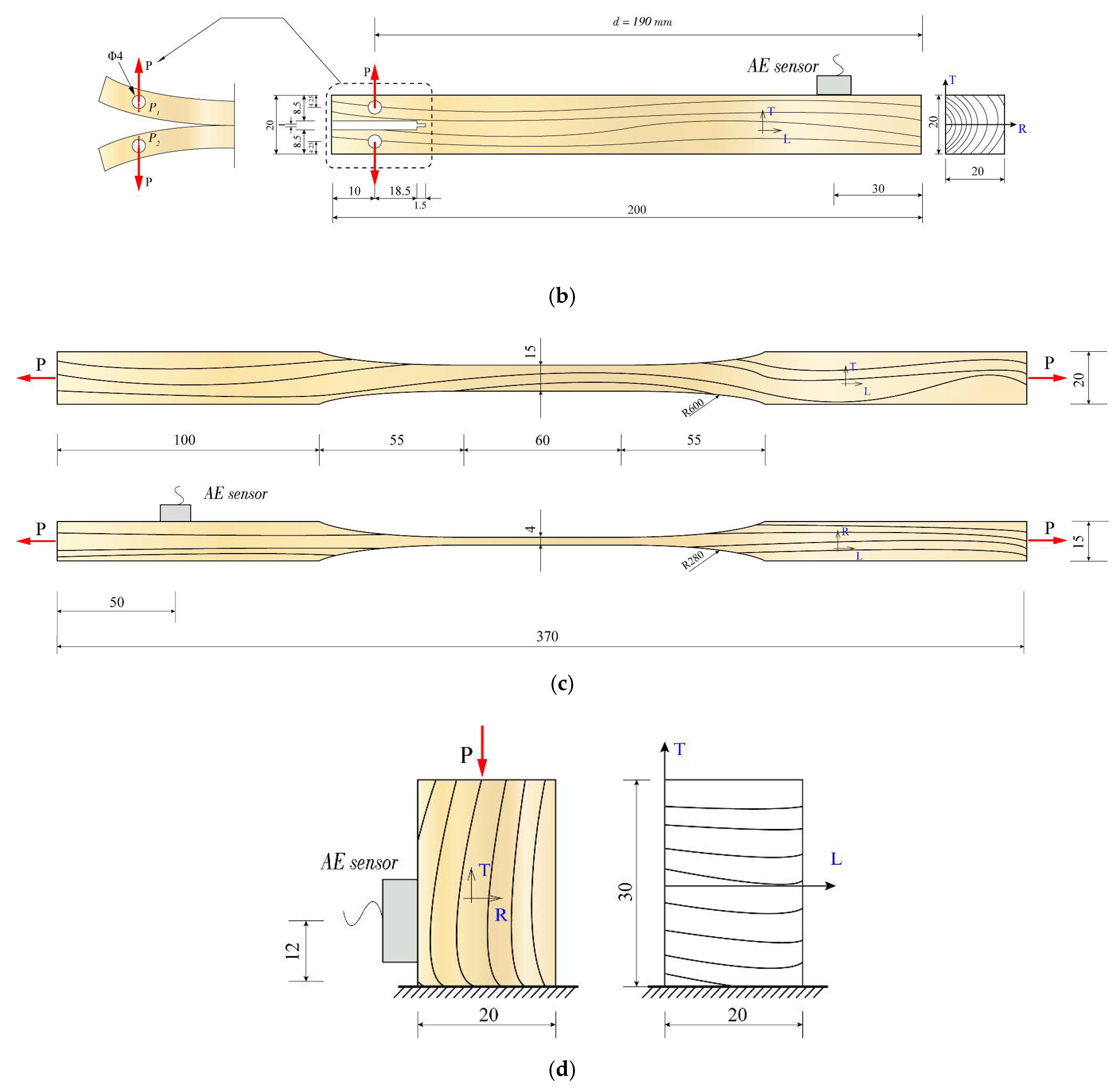 Forests 13 00631 g001b 550