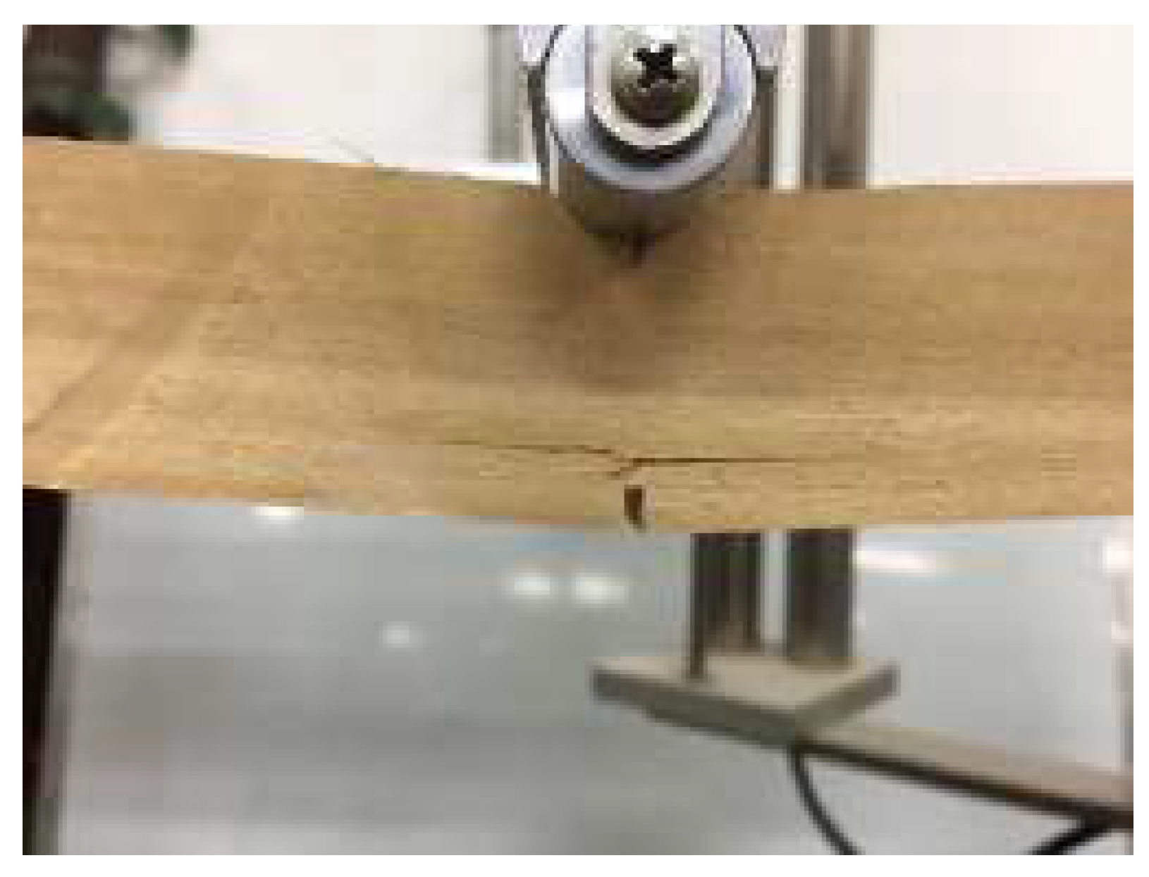 Forests 13 00631 g008 550