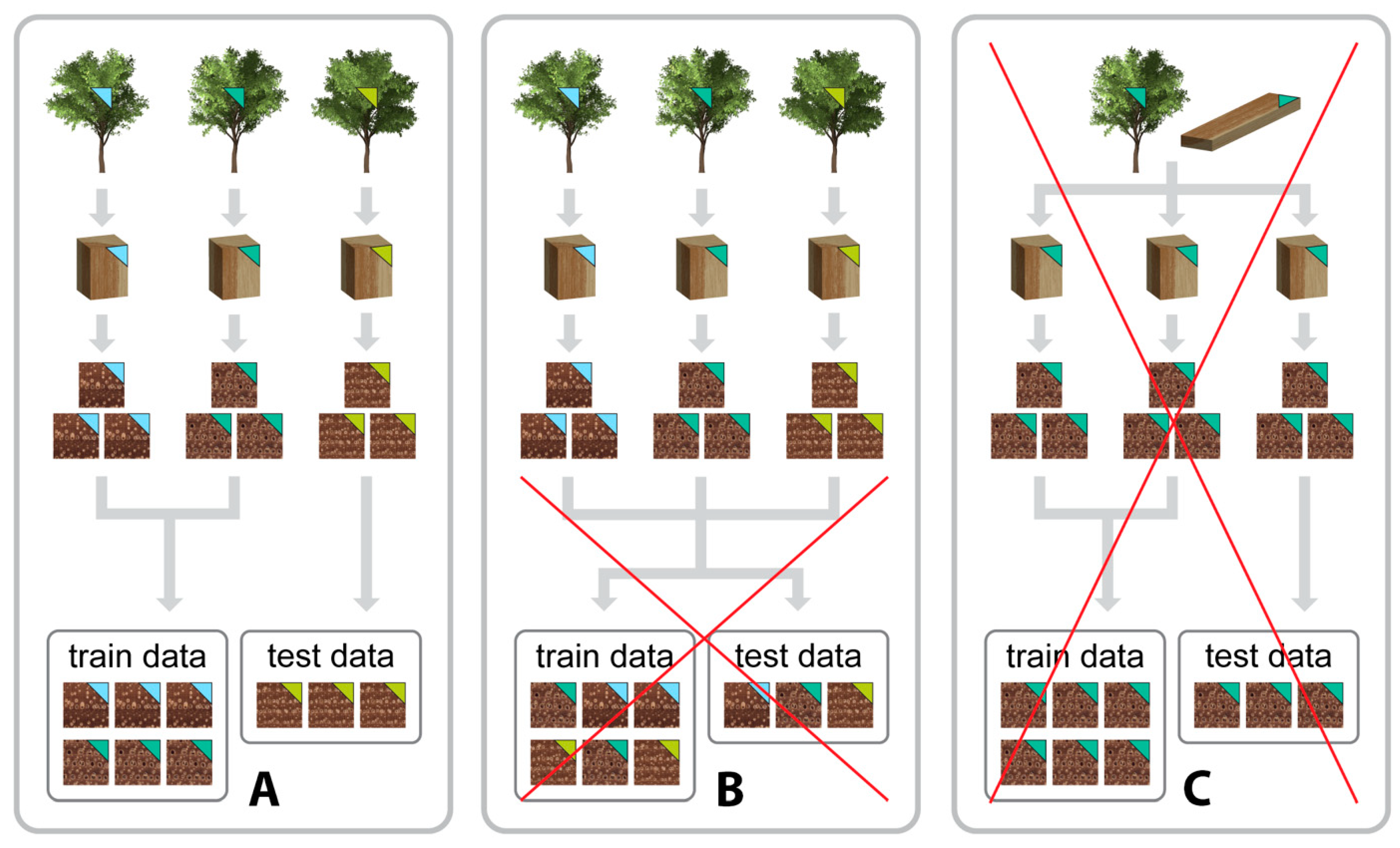 Forests 13 00632 g001