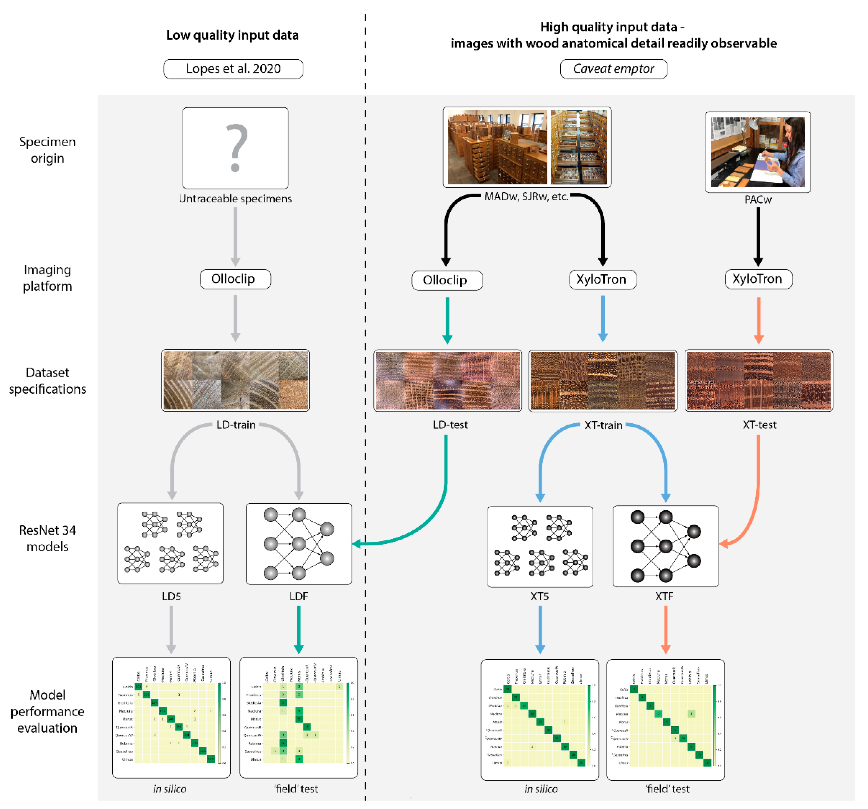 Forests 13 00632 g003