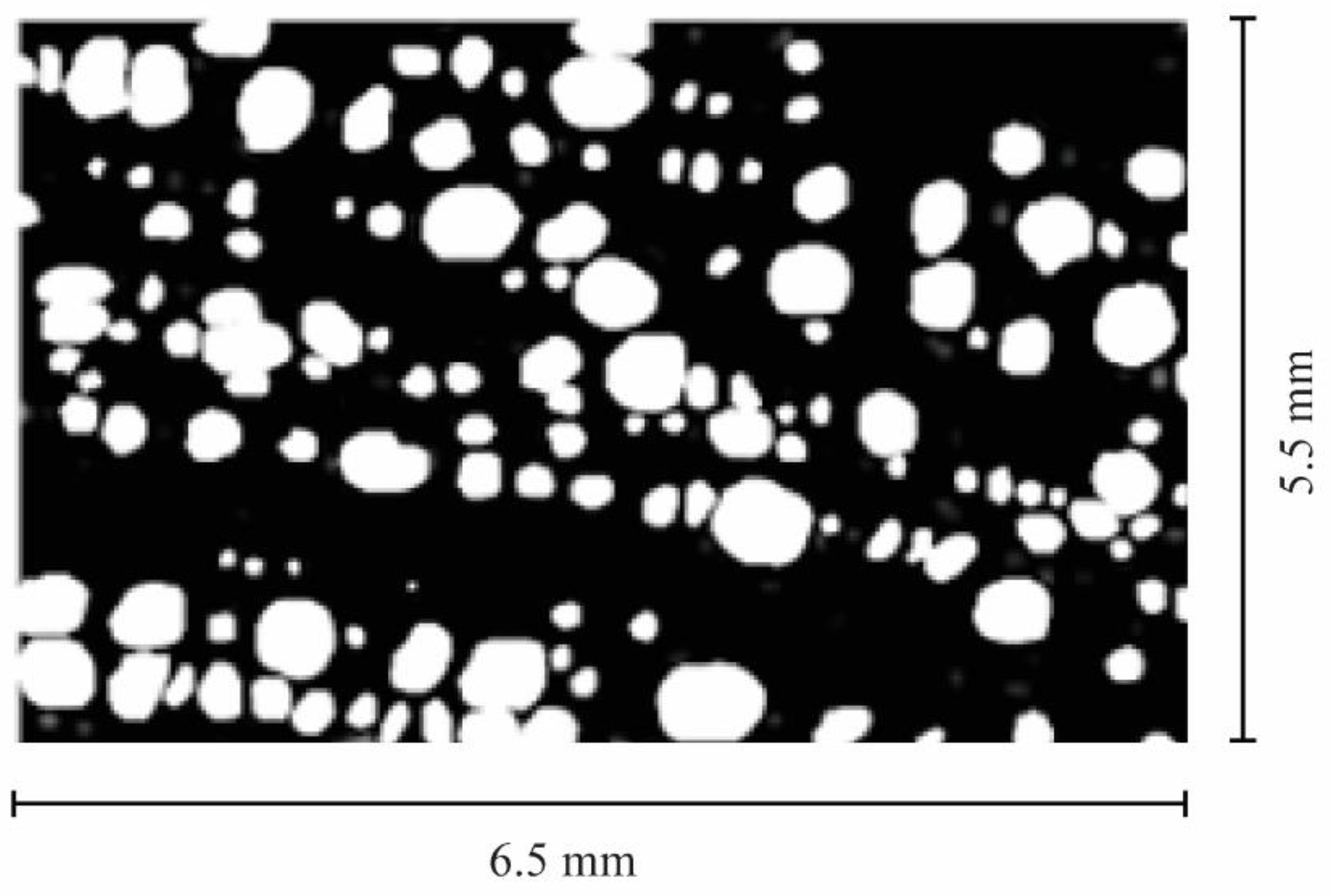 Forests 13 00633 g002 Forests 13 00633 g002