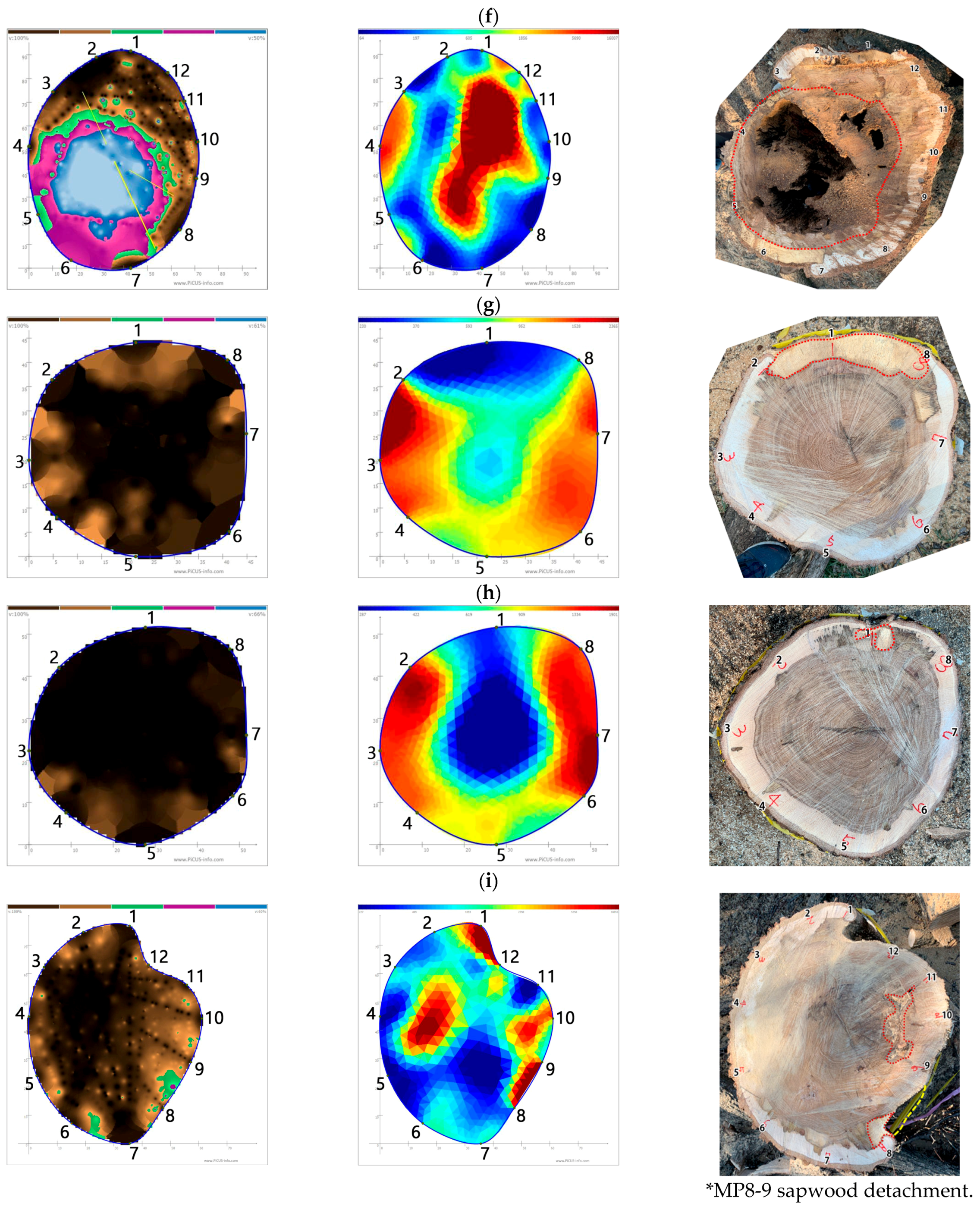 Forests 13 00638 g001c 550