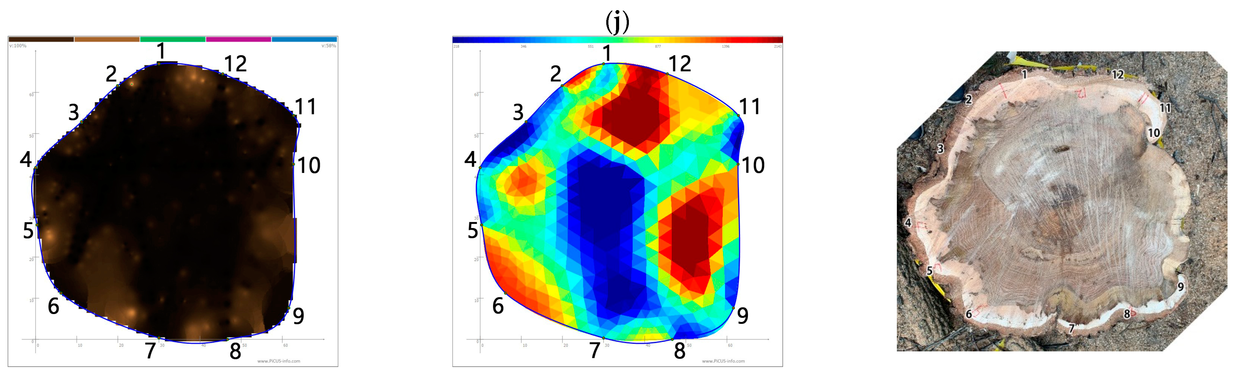 Forests 13 00638 g001d 550