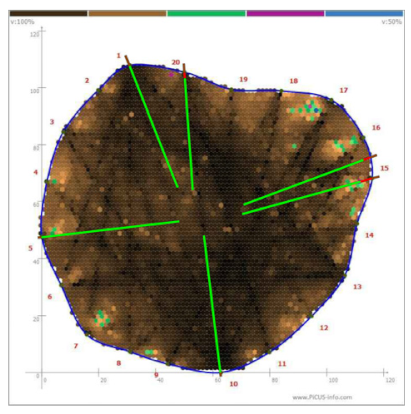 Forests 13 00638 i015