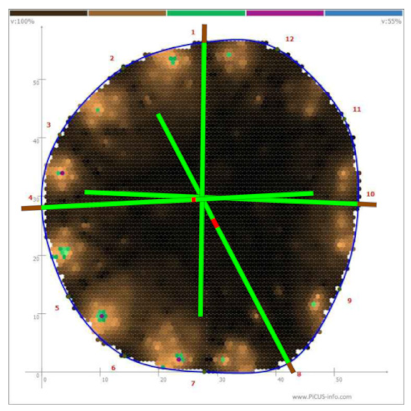 Forests 13 00638 i019