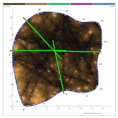 Forests 13 00638 i021