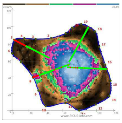 Forests 13 00638 i033