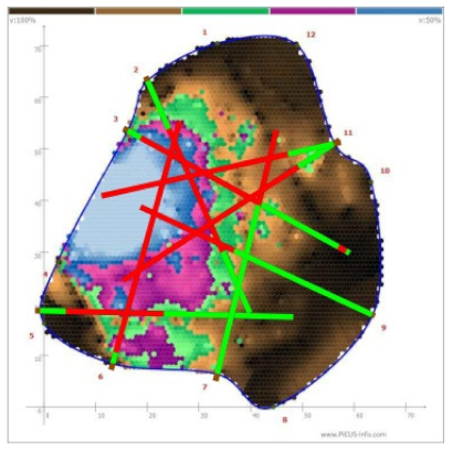 Forests 13 00638 i035