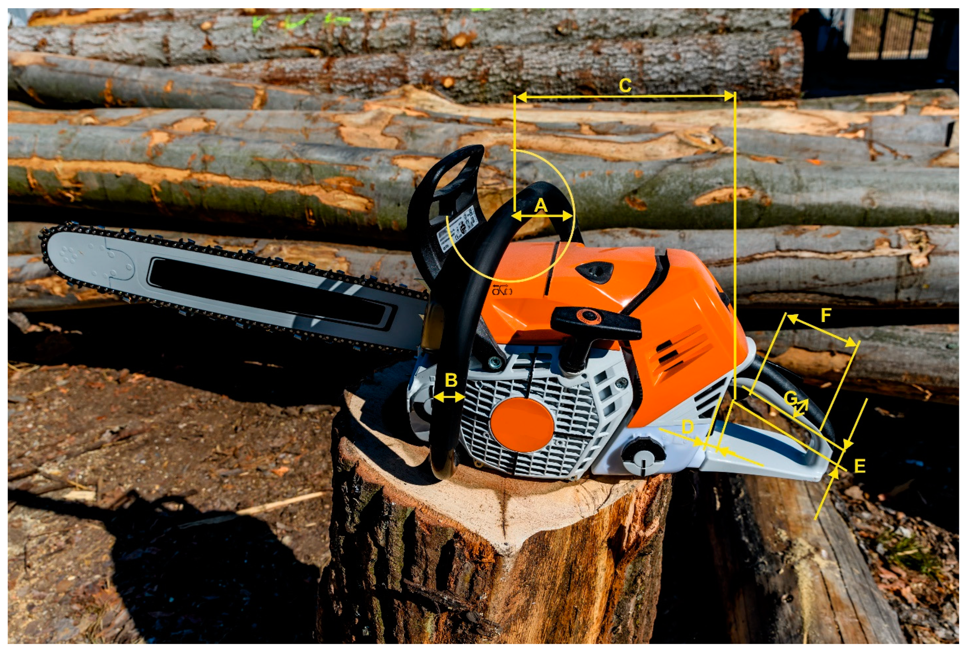 Forests 13 00645 g002