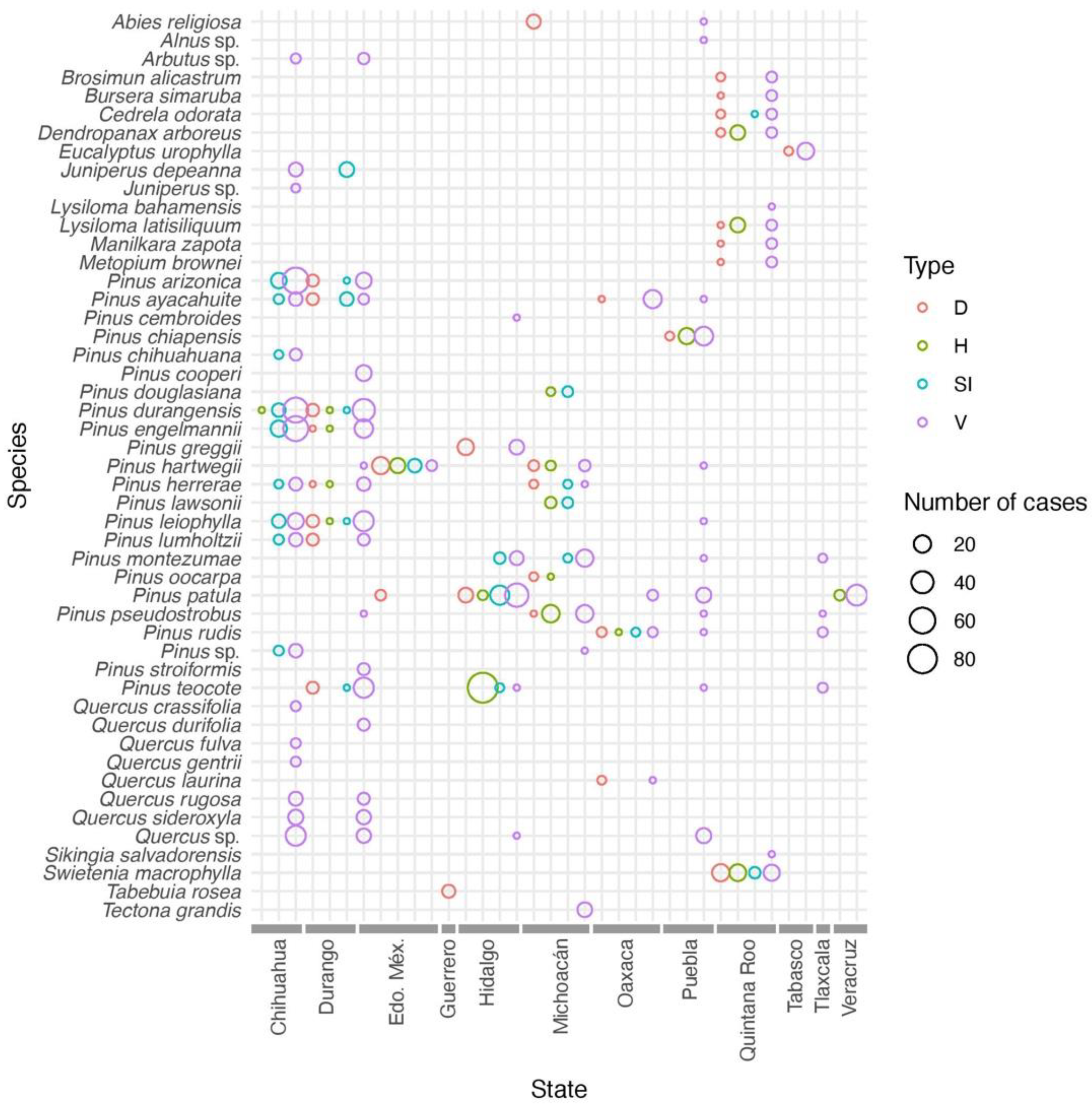 Forests 13 00649 g001