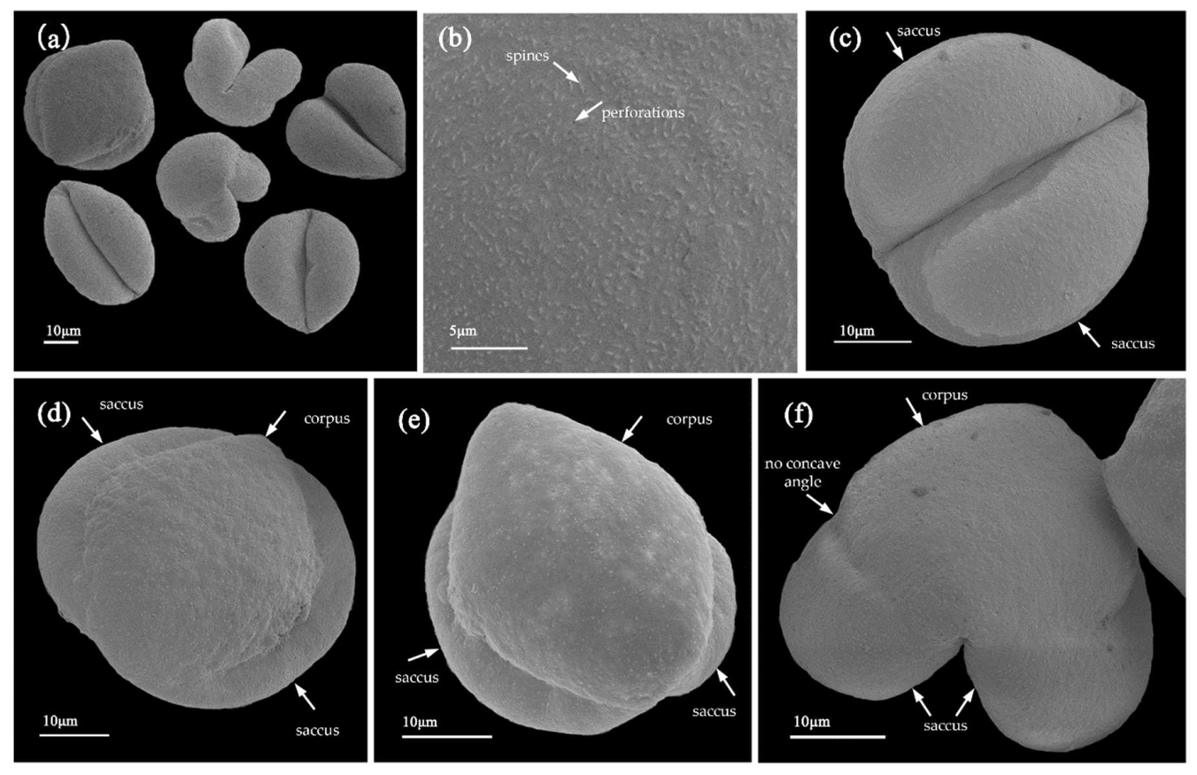 Forests 13 00651 g001 550