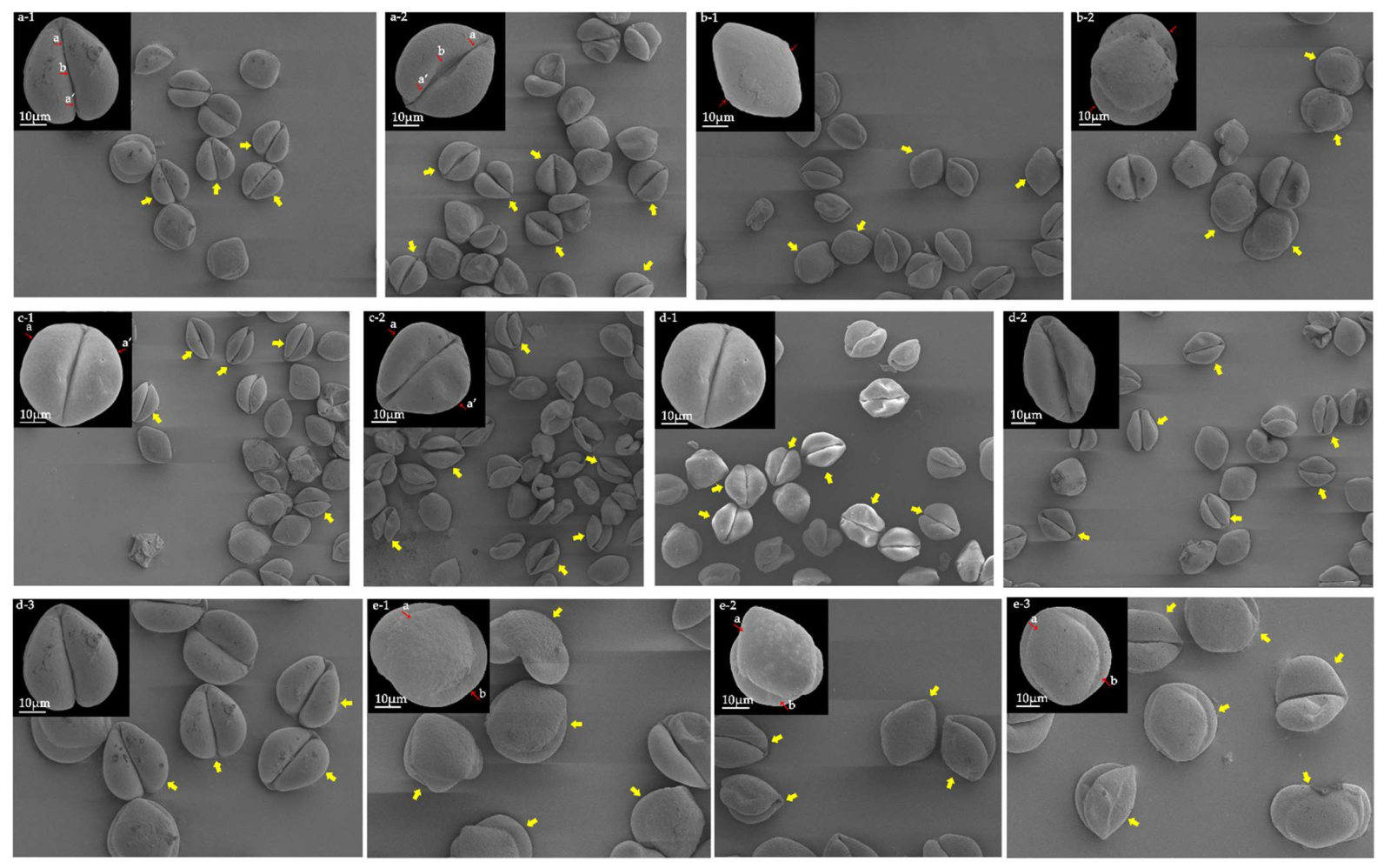 Forests 13 00651 g003 550