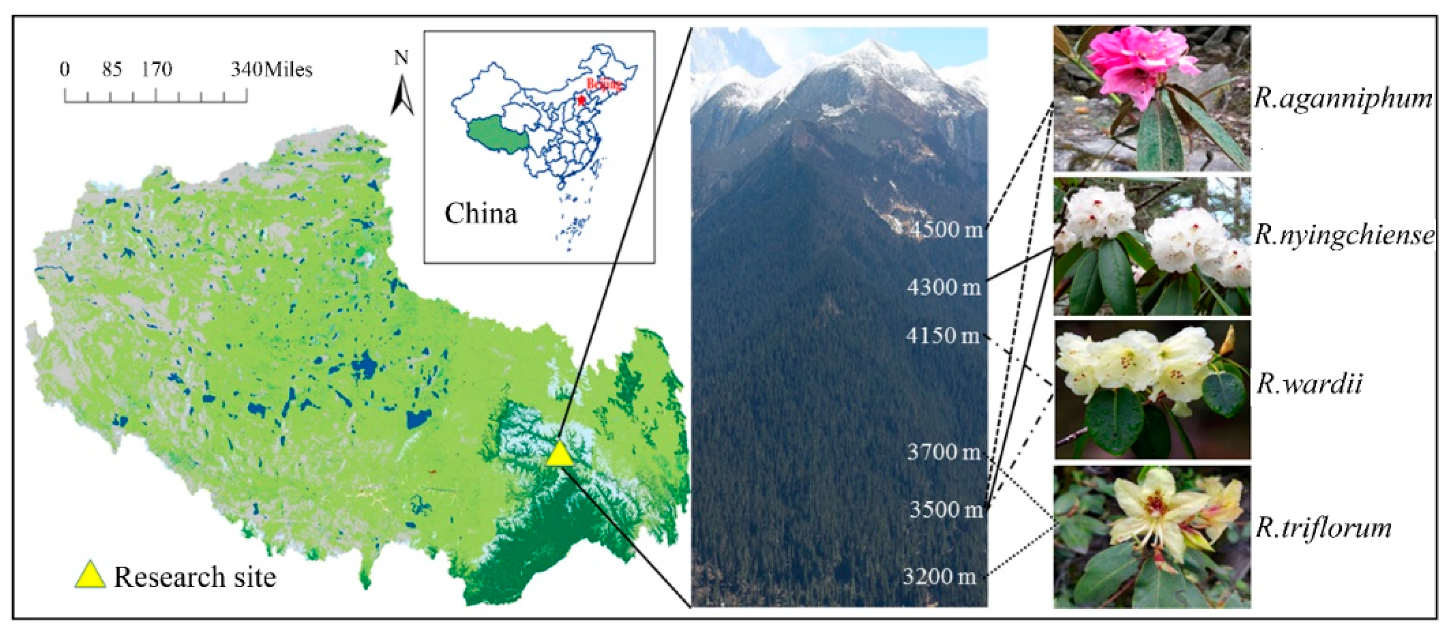 Forests 13 00653 g001