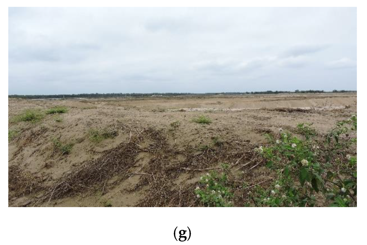 Forests 13 00656 g002b 550