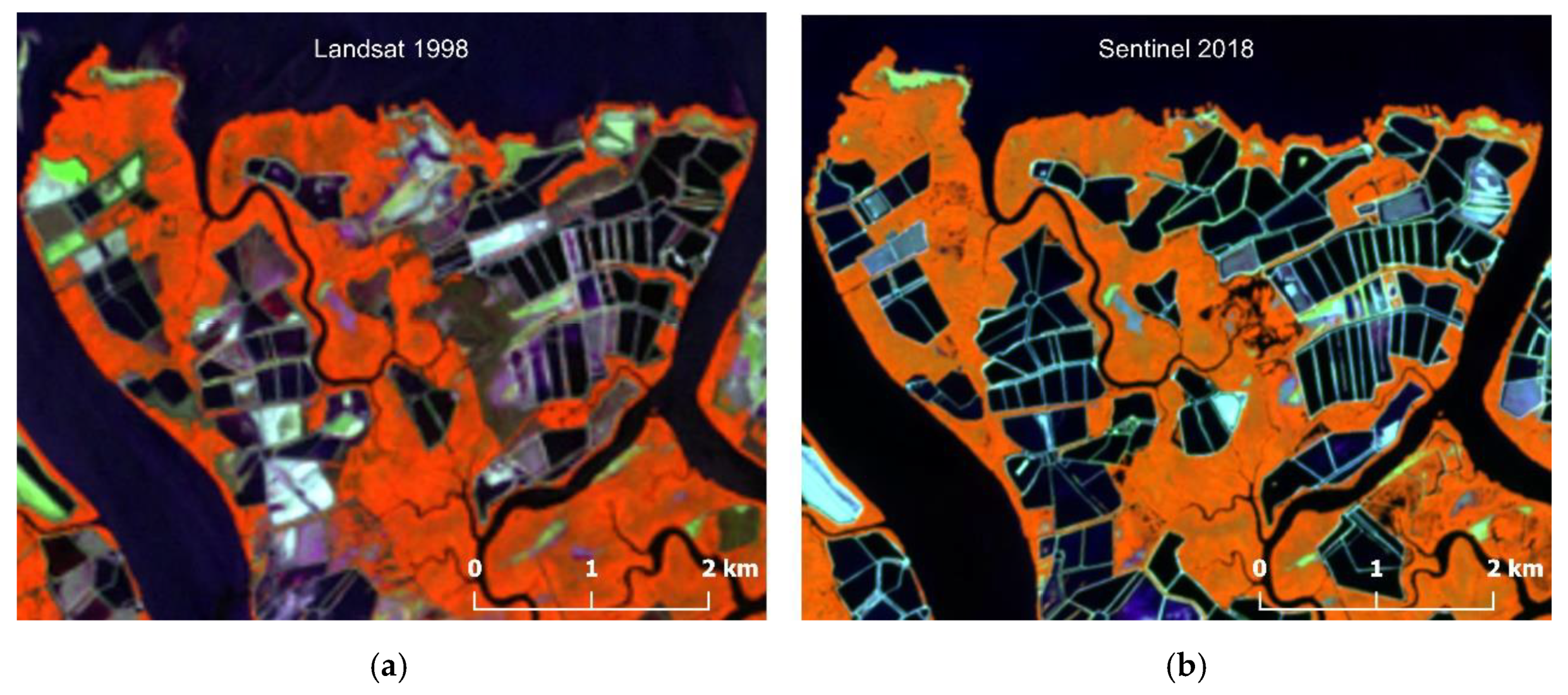 Forests 13 00656 g003 550