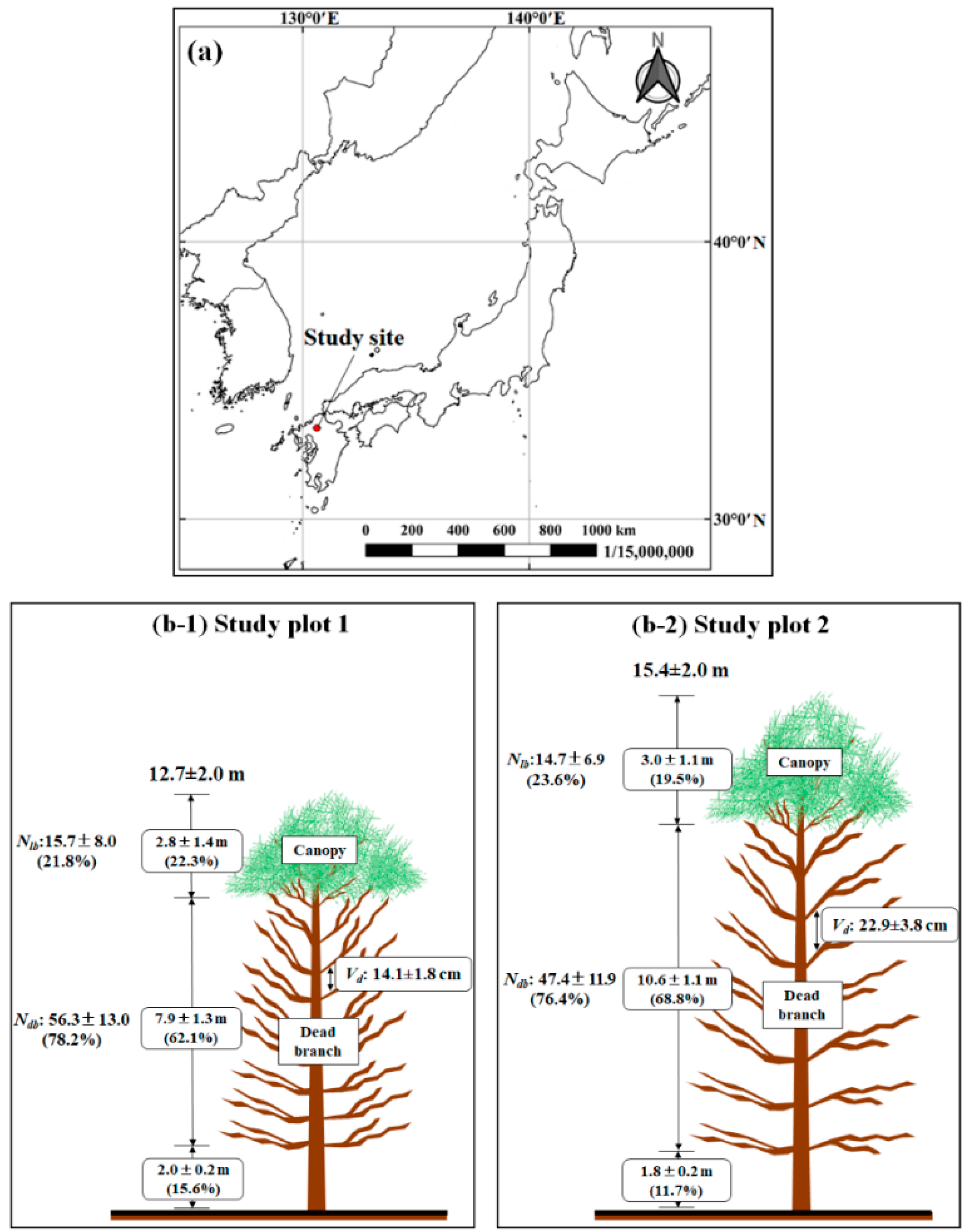 Forests 13 00657 g002 Forests 13 00657 g002