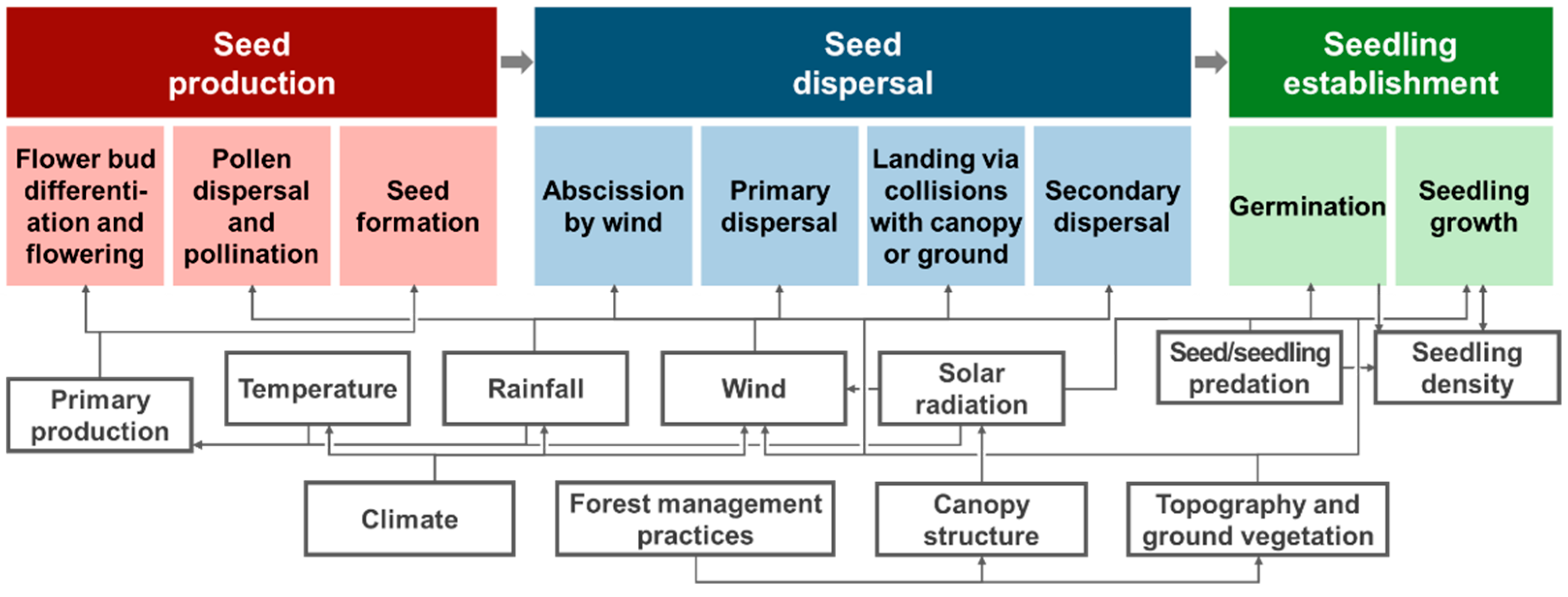 Forests | Free Full-Text | Seed Dispersal Models for Natural Regeneration: A Review and Prospects Forests | Free Full-Text | Seed Dispersal Models for Natural Regeneration: A Review and Prospects