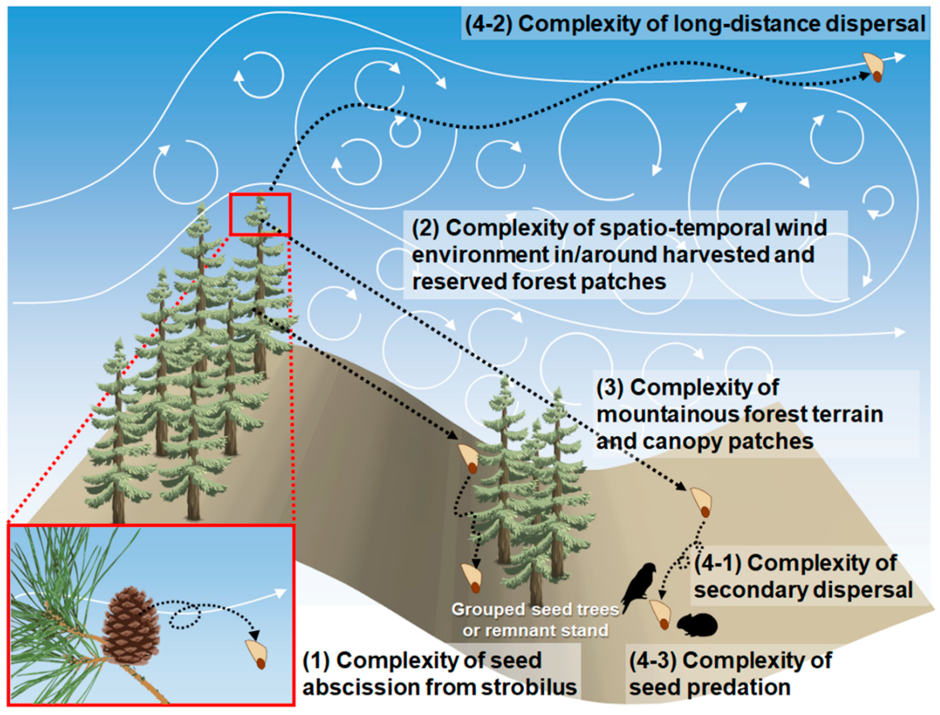Forests 13 00659 g003