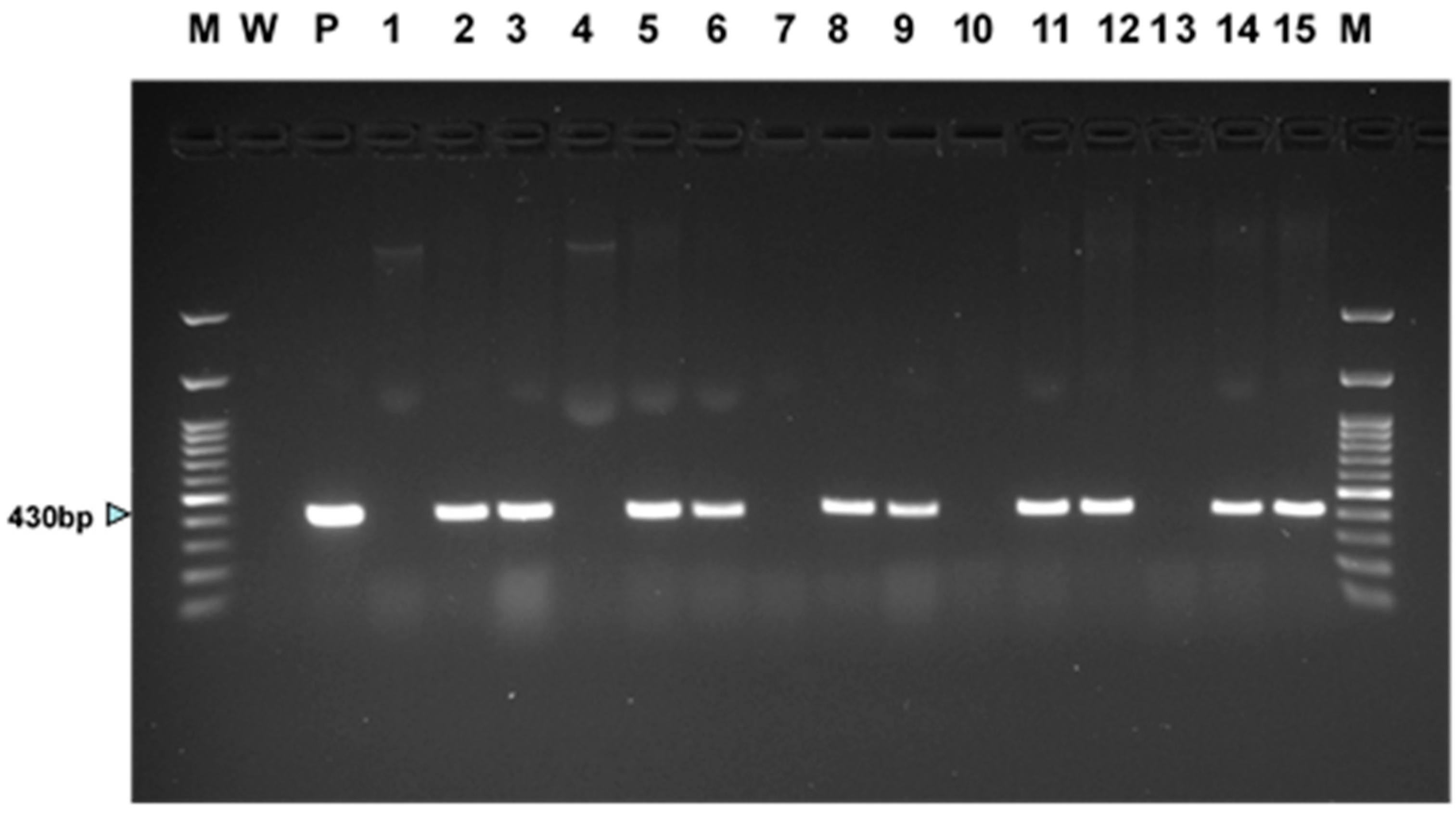 Forests 13 00671 g004