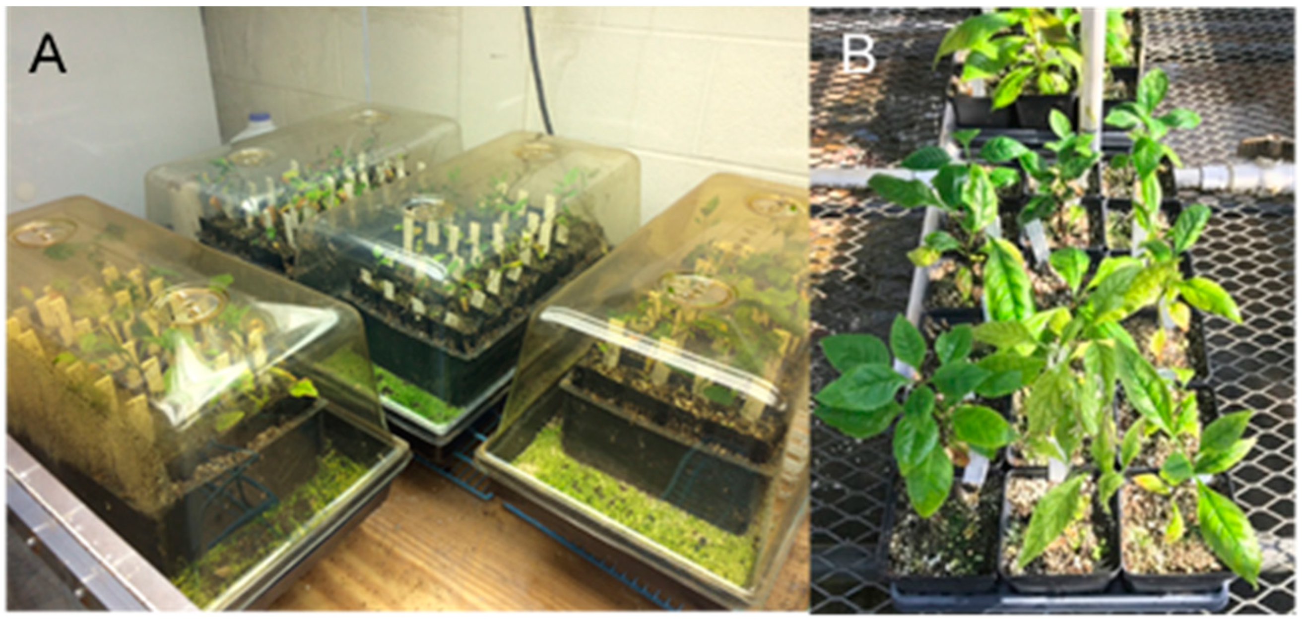 Forests 13 00671 g005