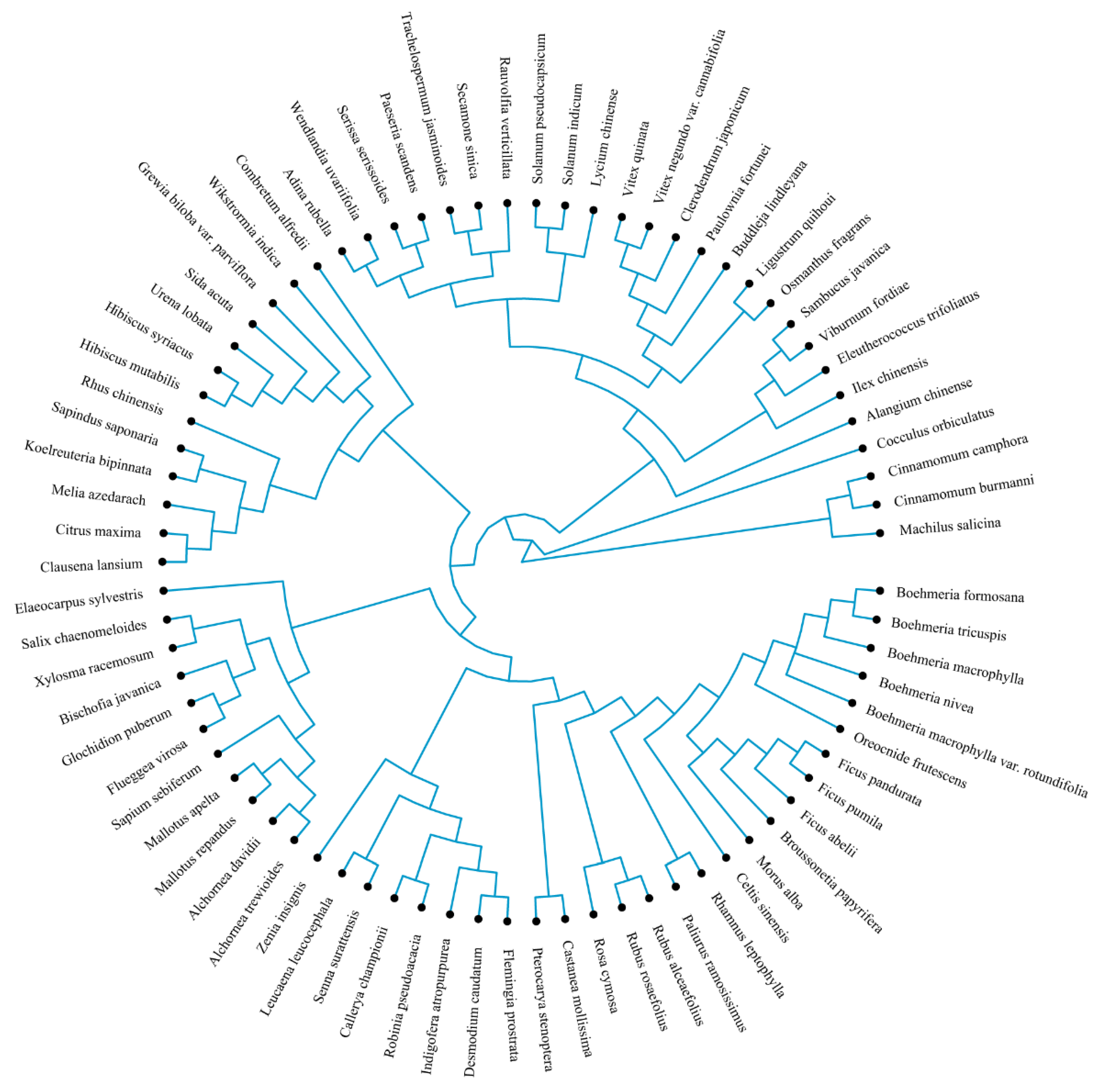 Forests 13 00673 g0a1 550