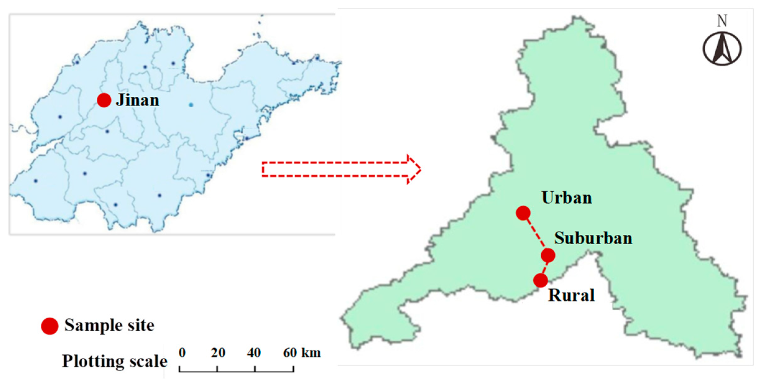 Forests 13 00675 g001 550