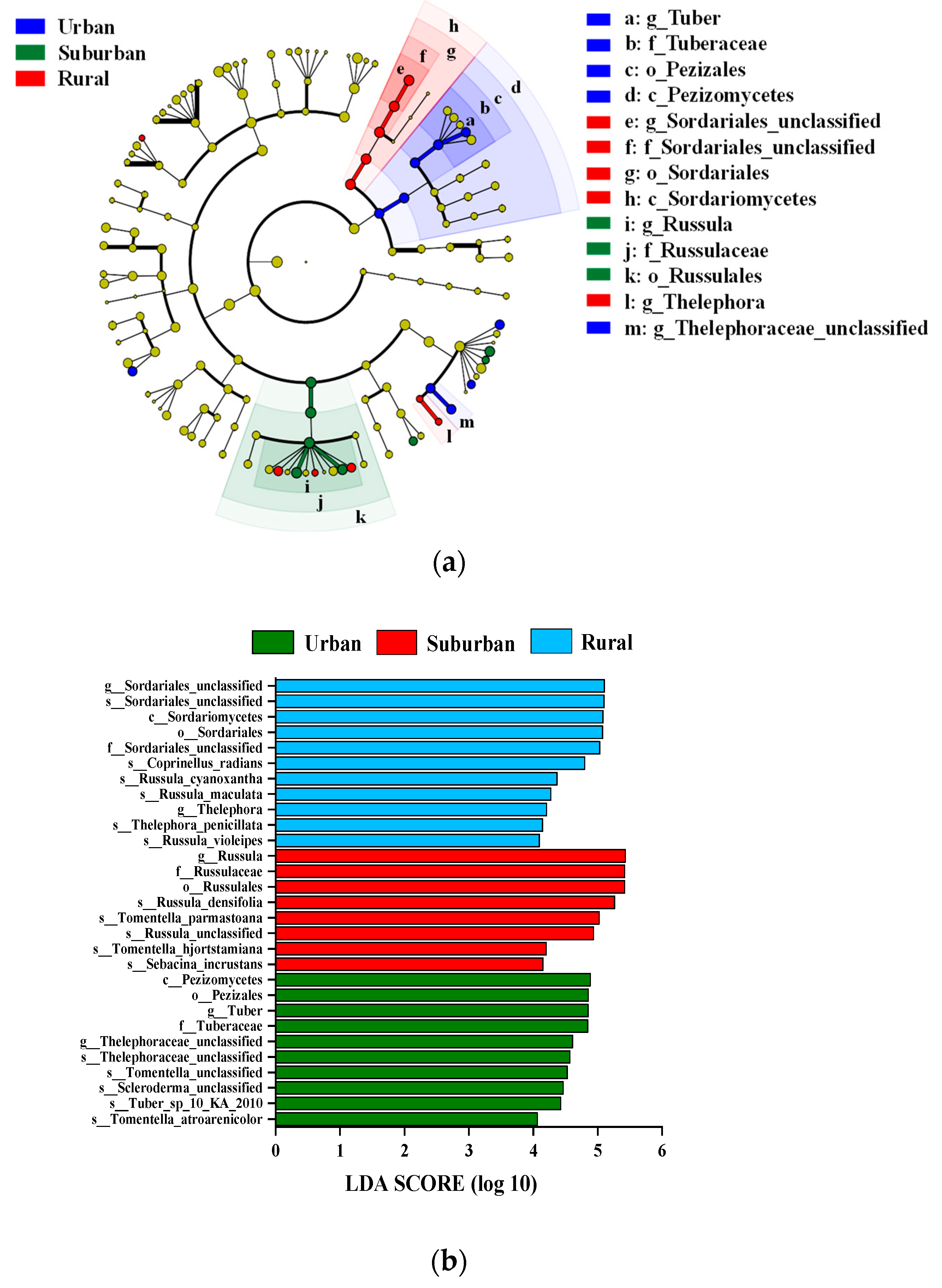 Forests 13 00675 g004 550