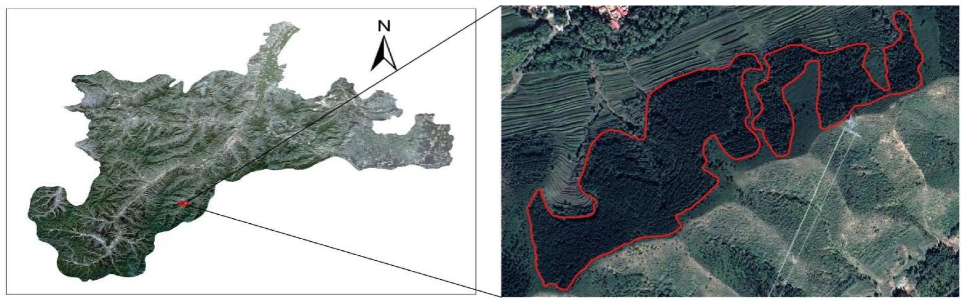 Forests 13 00677 g004 550