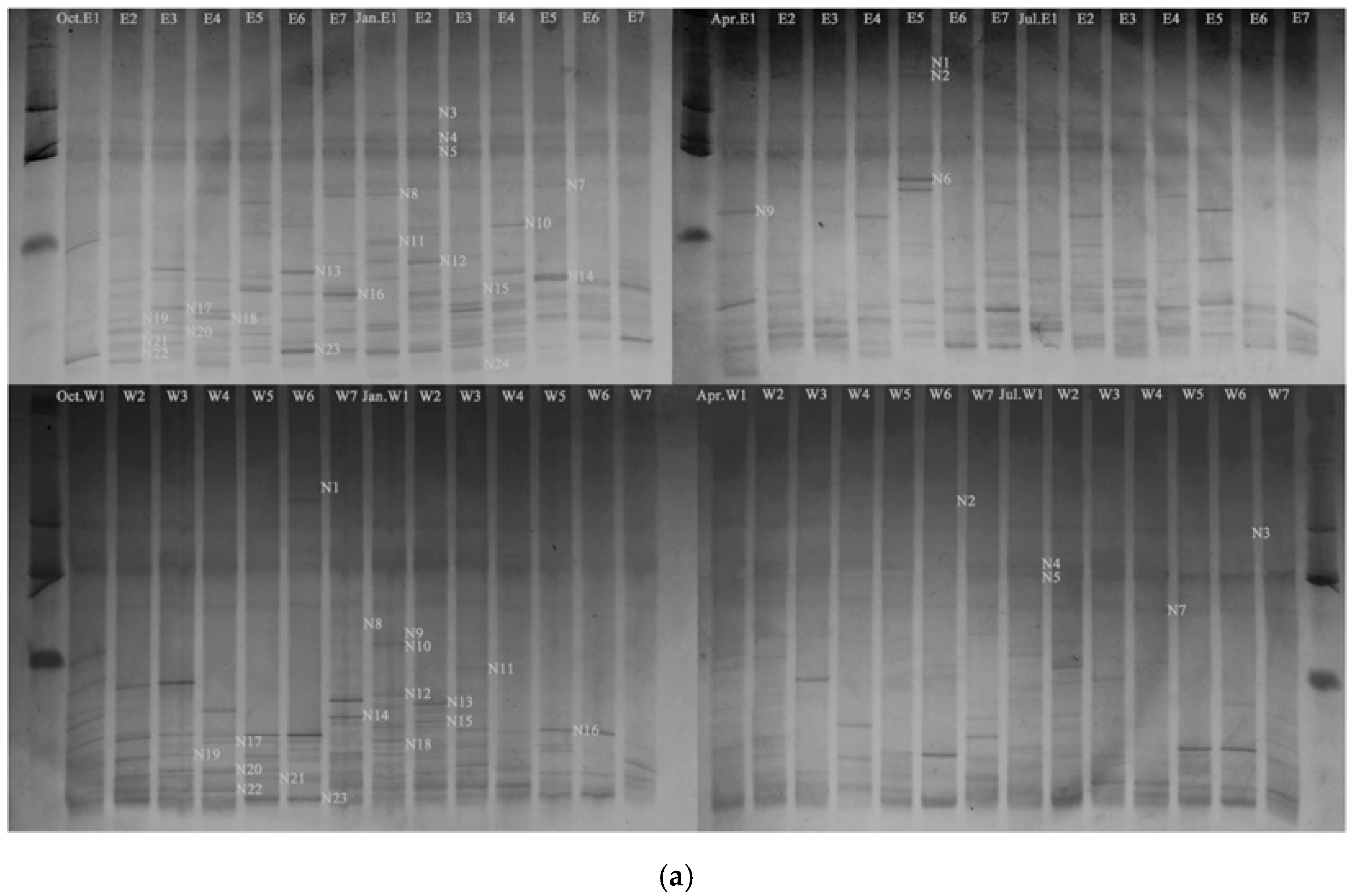 Forests 13 00681 g002a