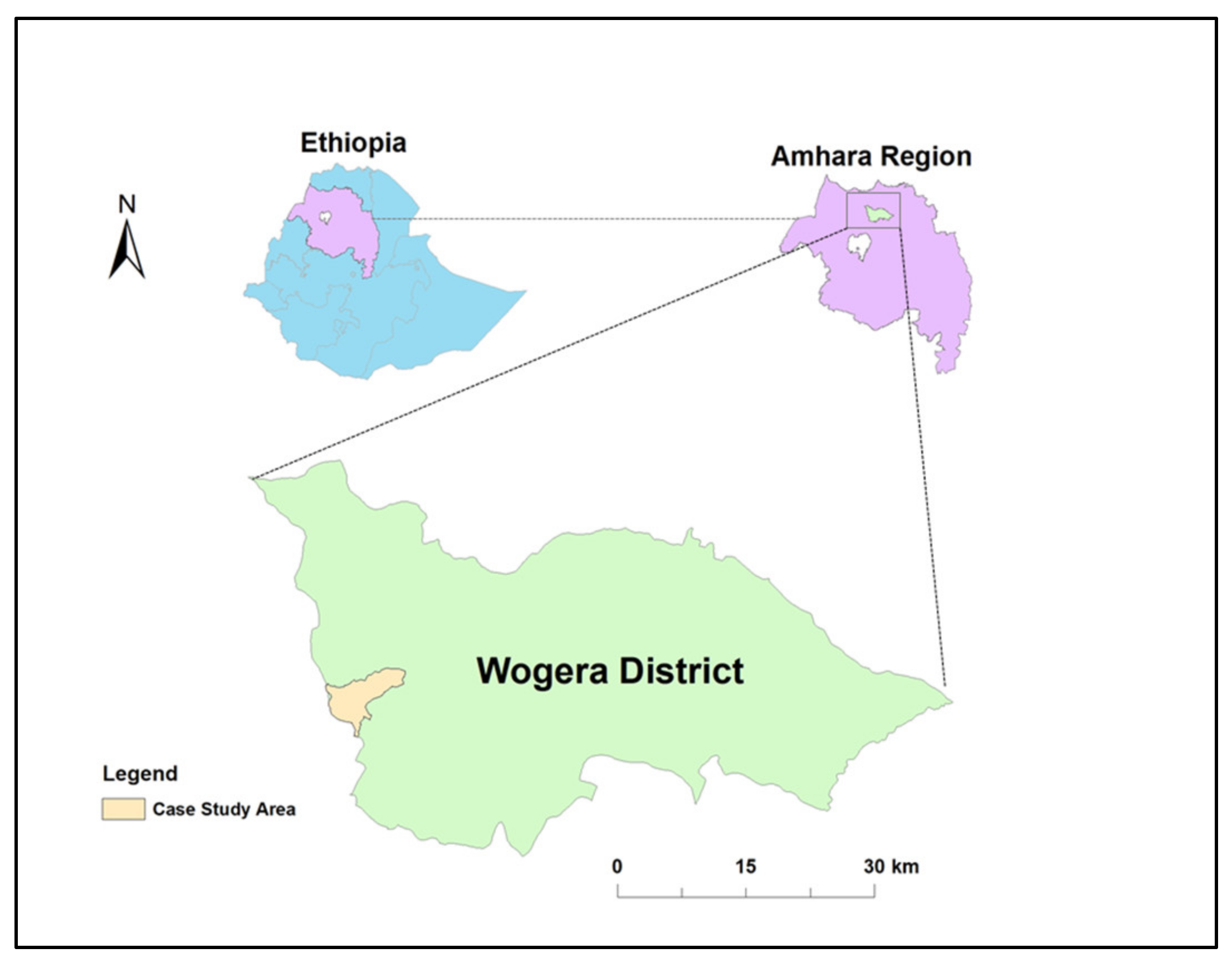 Forests 13 00686 g001