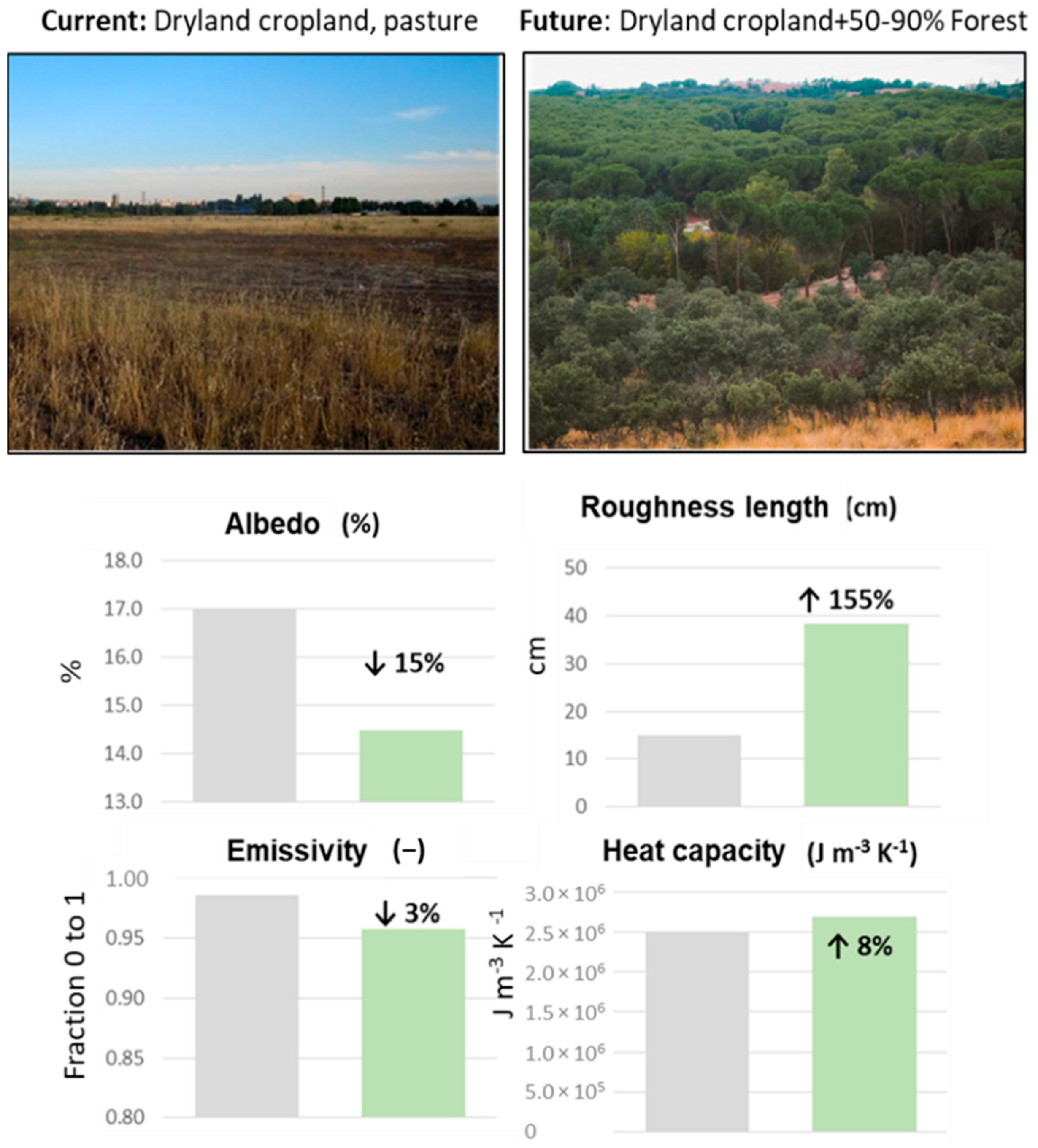 Forests 13 00690 g003 550