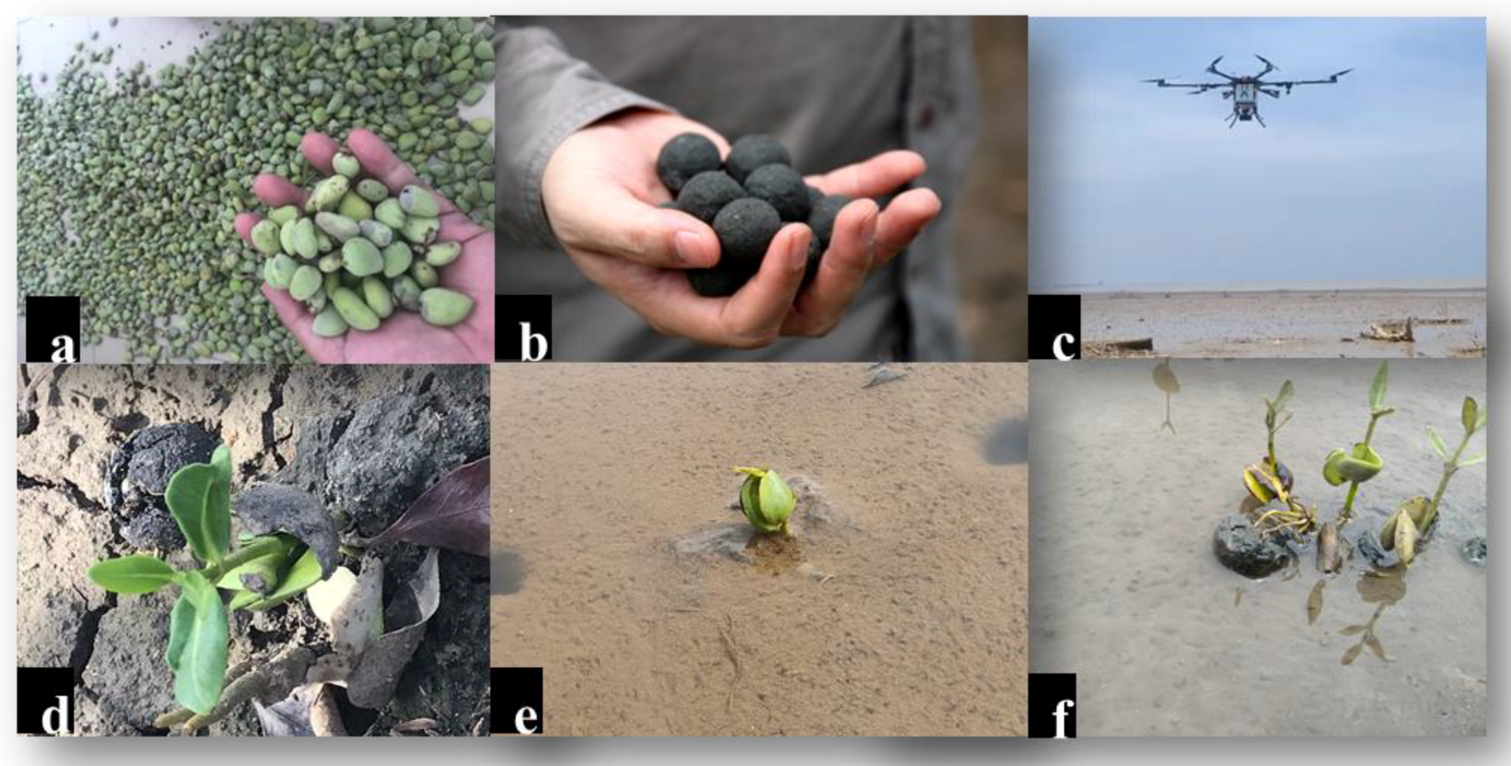 Forests 13 00695 g002 Forests 13 00695 g002