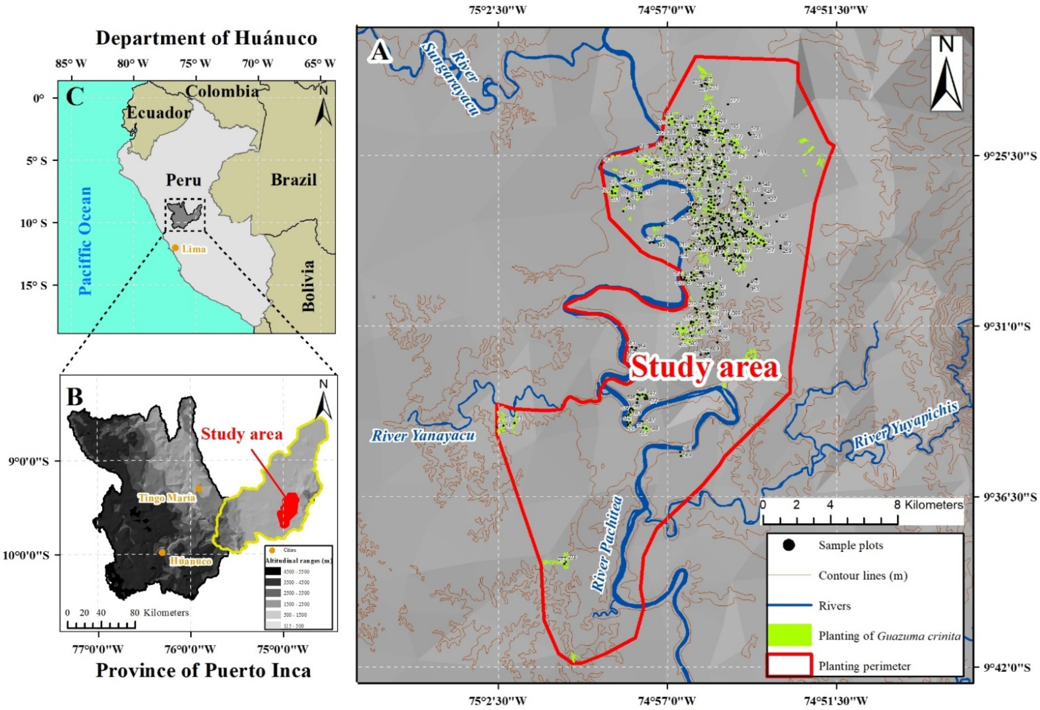 Forests 13 00697 g001 Forests 13 00697 g001