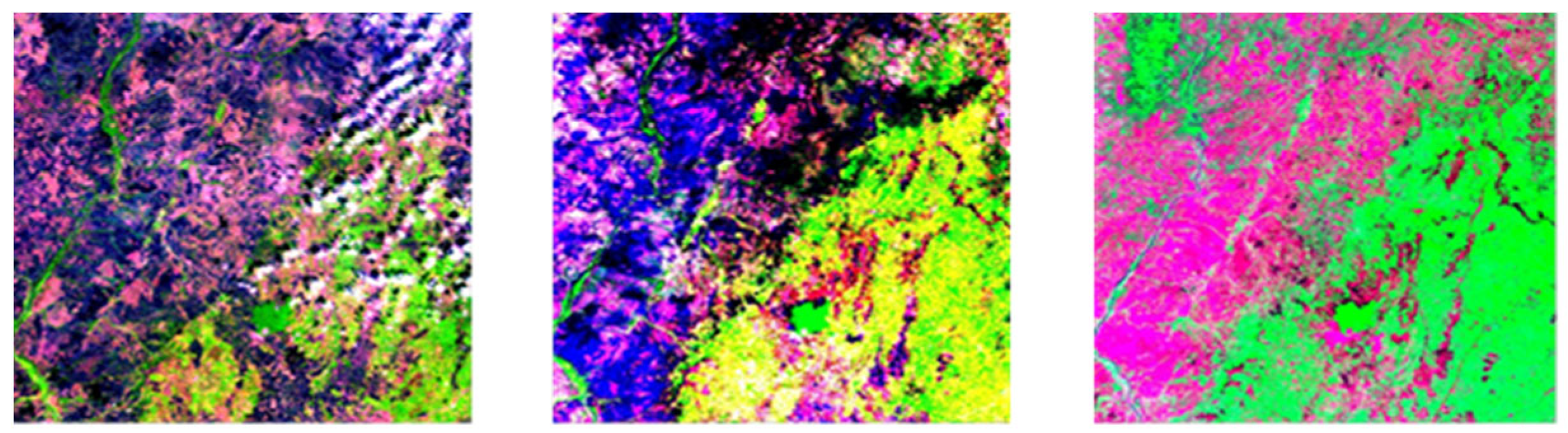 Forests 13 00698 g002 Forests 13 00698 g002