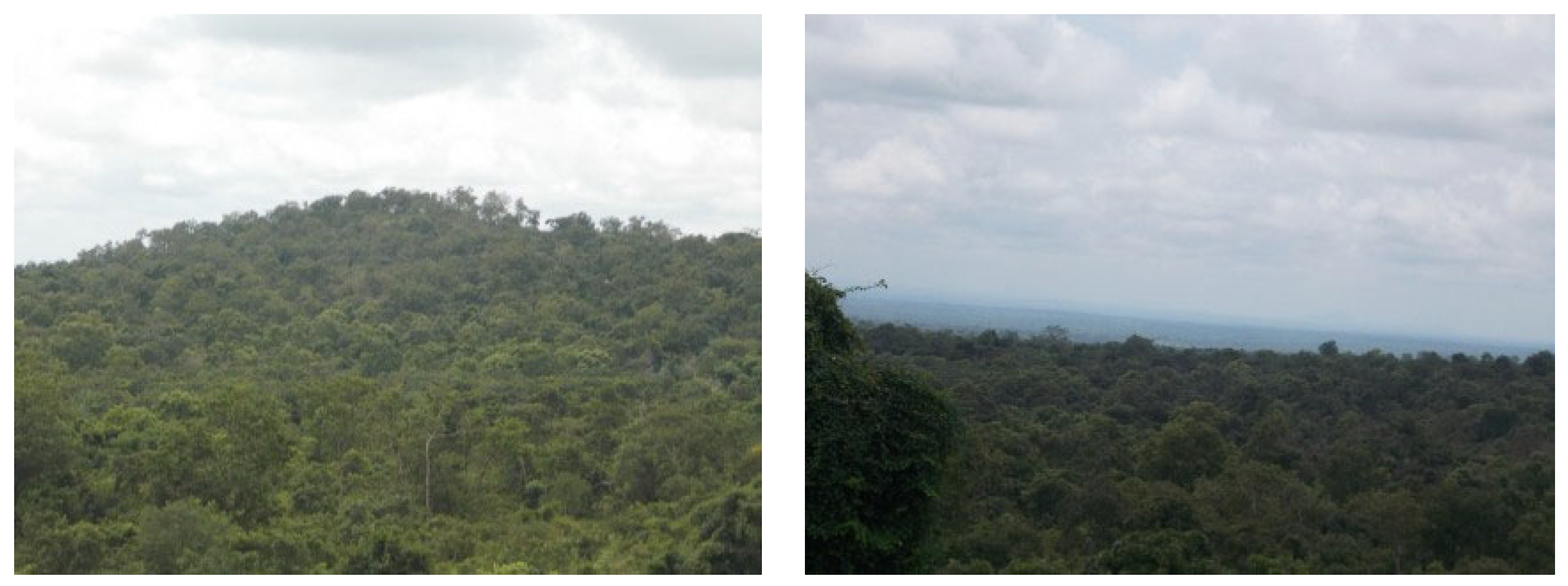 Forests 13 00698 g014 Forests 13 00698 g014