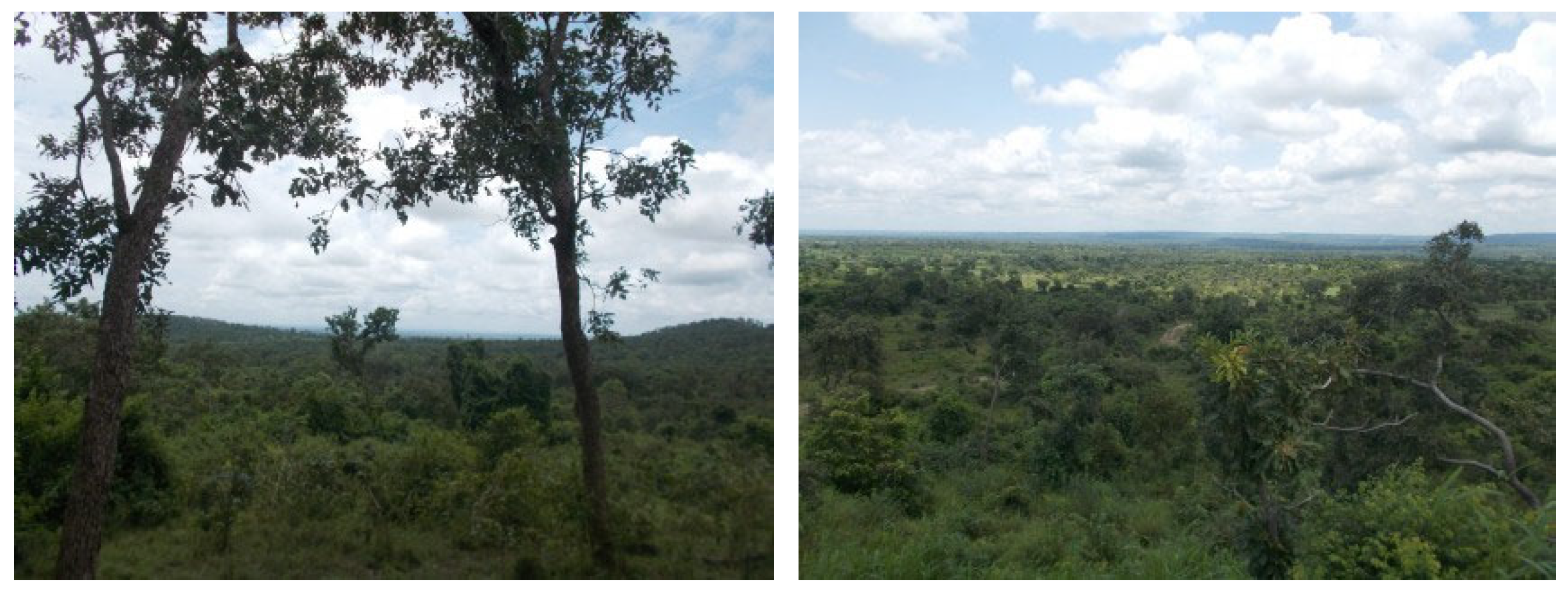 Forests 13 00698 g016 Forests 13 00698 g016