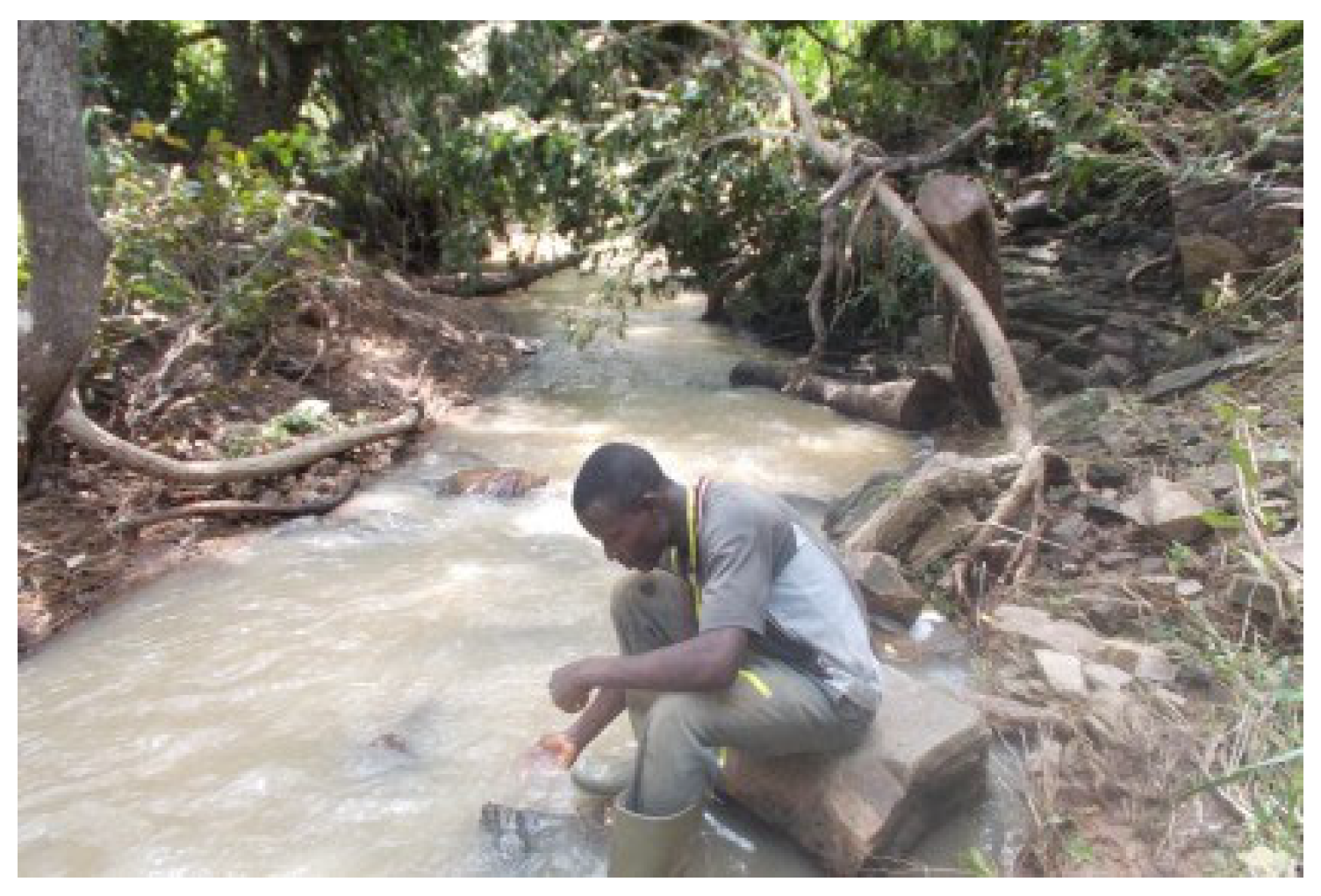 Forests 13 00698 g019 Forests 13 00698 g019